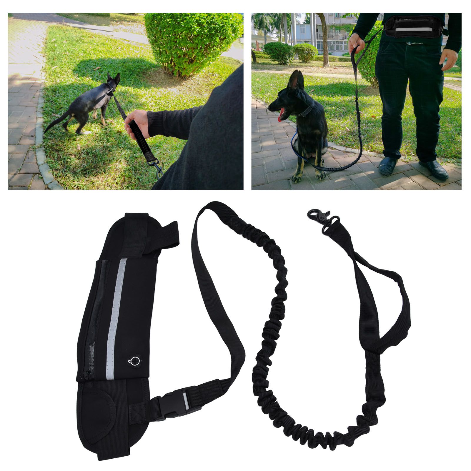 Sports Belt Bag Leash Set Reflective Elastic Explosion Proof Dog Running view 12