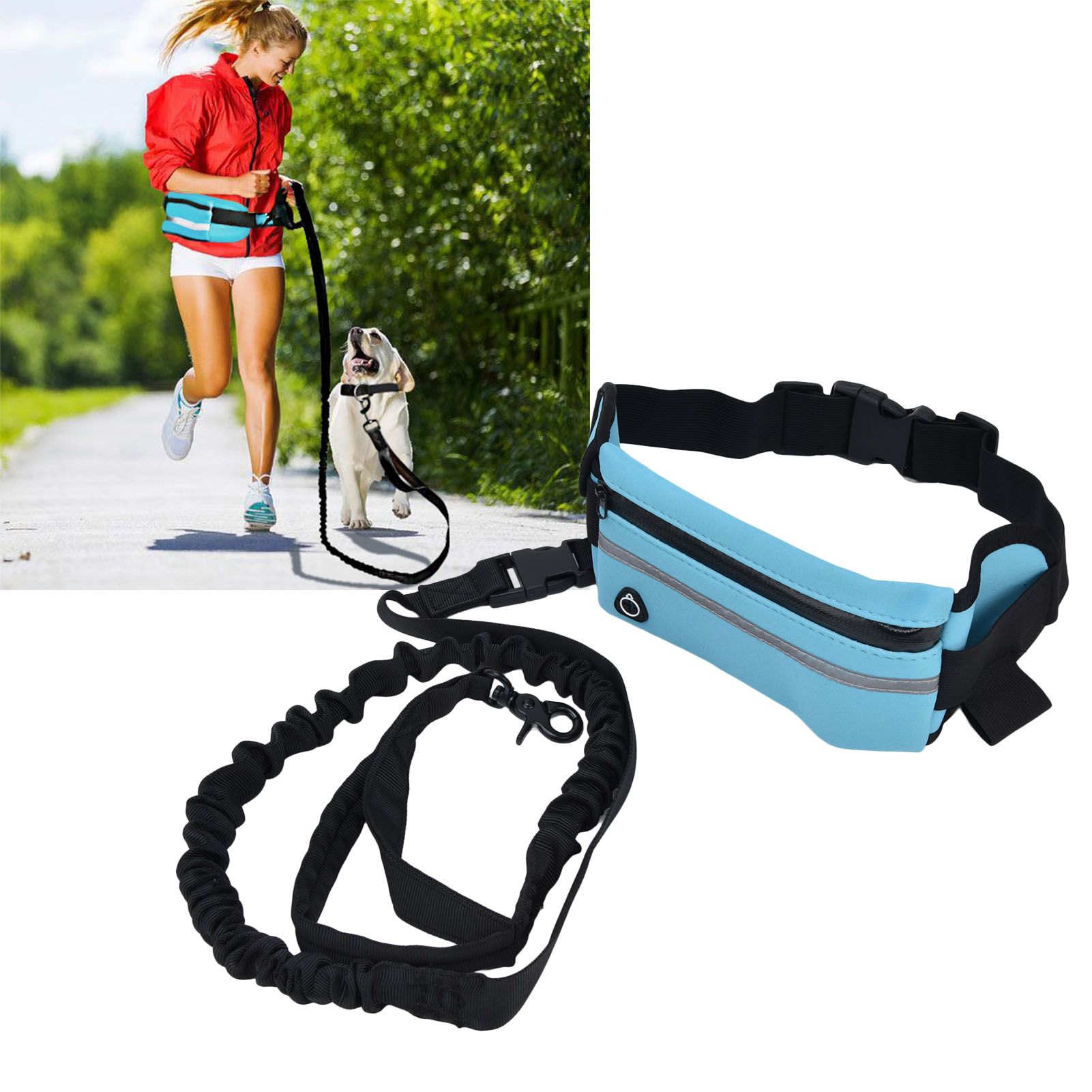 Sports Belt Bag Leash Set Reflective Elastic Explosion Proof Dog Running view 11