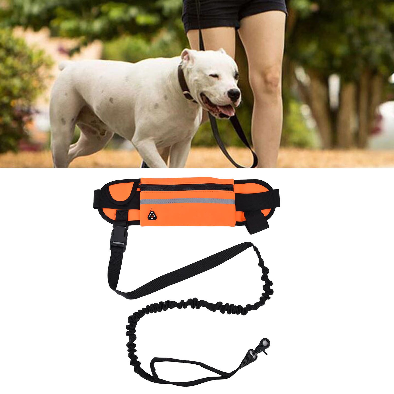 Hands Free Dog Leash Detachable Zipper Bag Reflective Strip Design Hands Free view 11