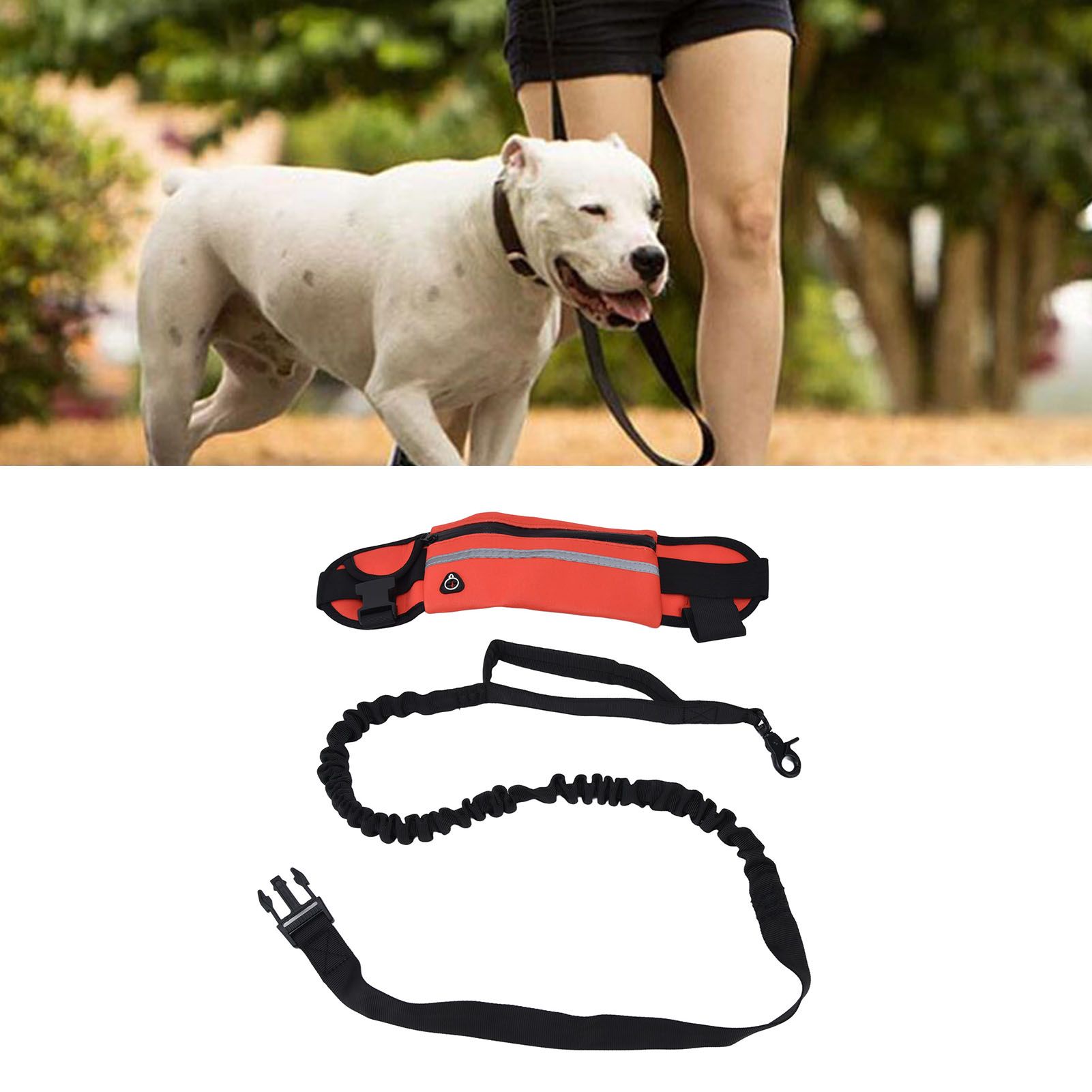 Hands Free Dog Leash Detachable Zipper Bag Reflective Strip Design Hands Free view 11