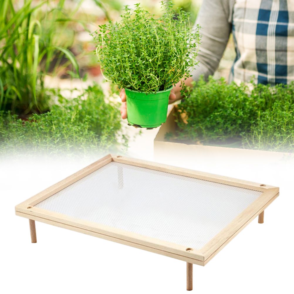 Pasta Drying Rack Herb Drying Rack Stackable Food Dryer for Household Kitchen view 7