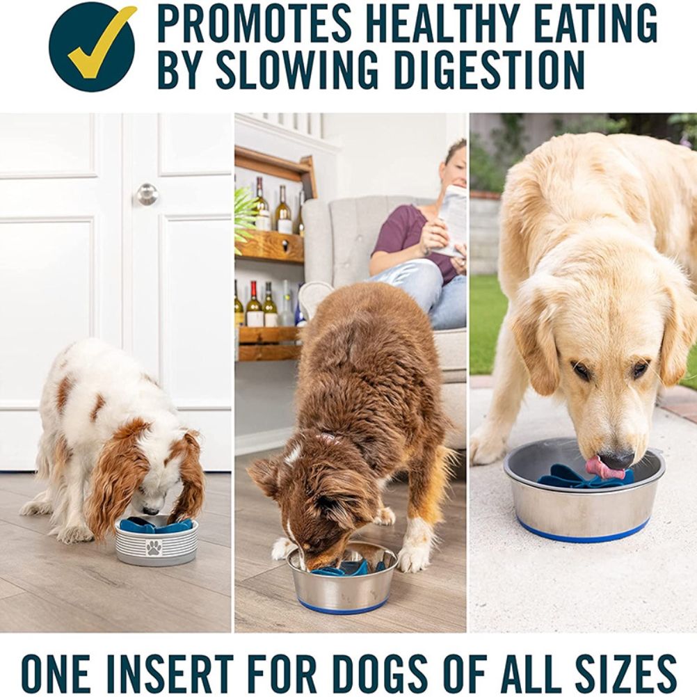 Spiral Slow Feeder Insert Slow Feeder Dog Bowls Accessories to Slow Down view 4