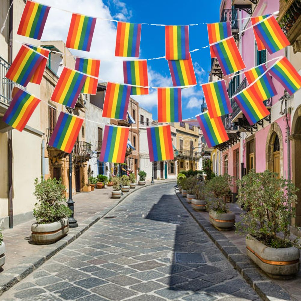 Rainbow Flag LGBT Pride String Flag Hanging Gay Lesbian Banners Bunting Flags view 4
