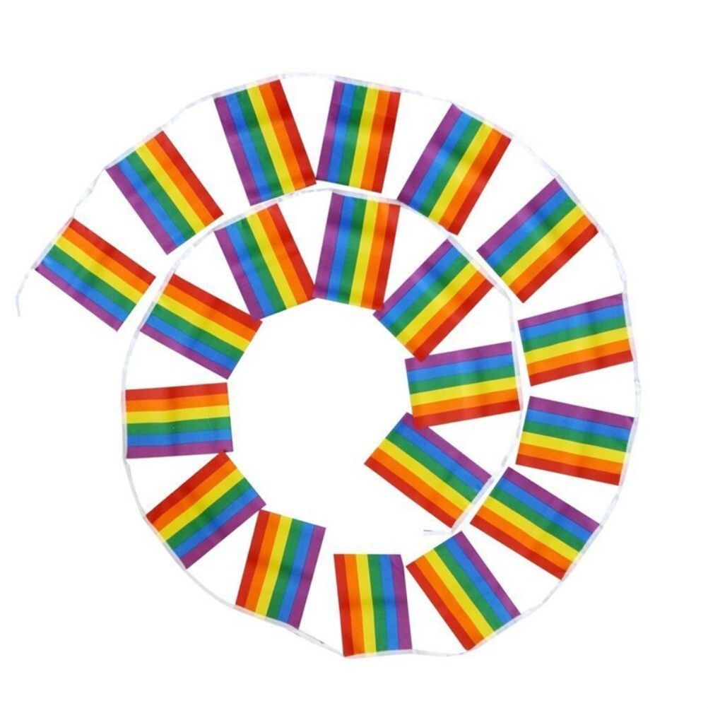 Rainbow Flag LGBT Pride String Flag Hanging Gay Lesbian Banners Bunting Flags view 6
