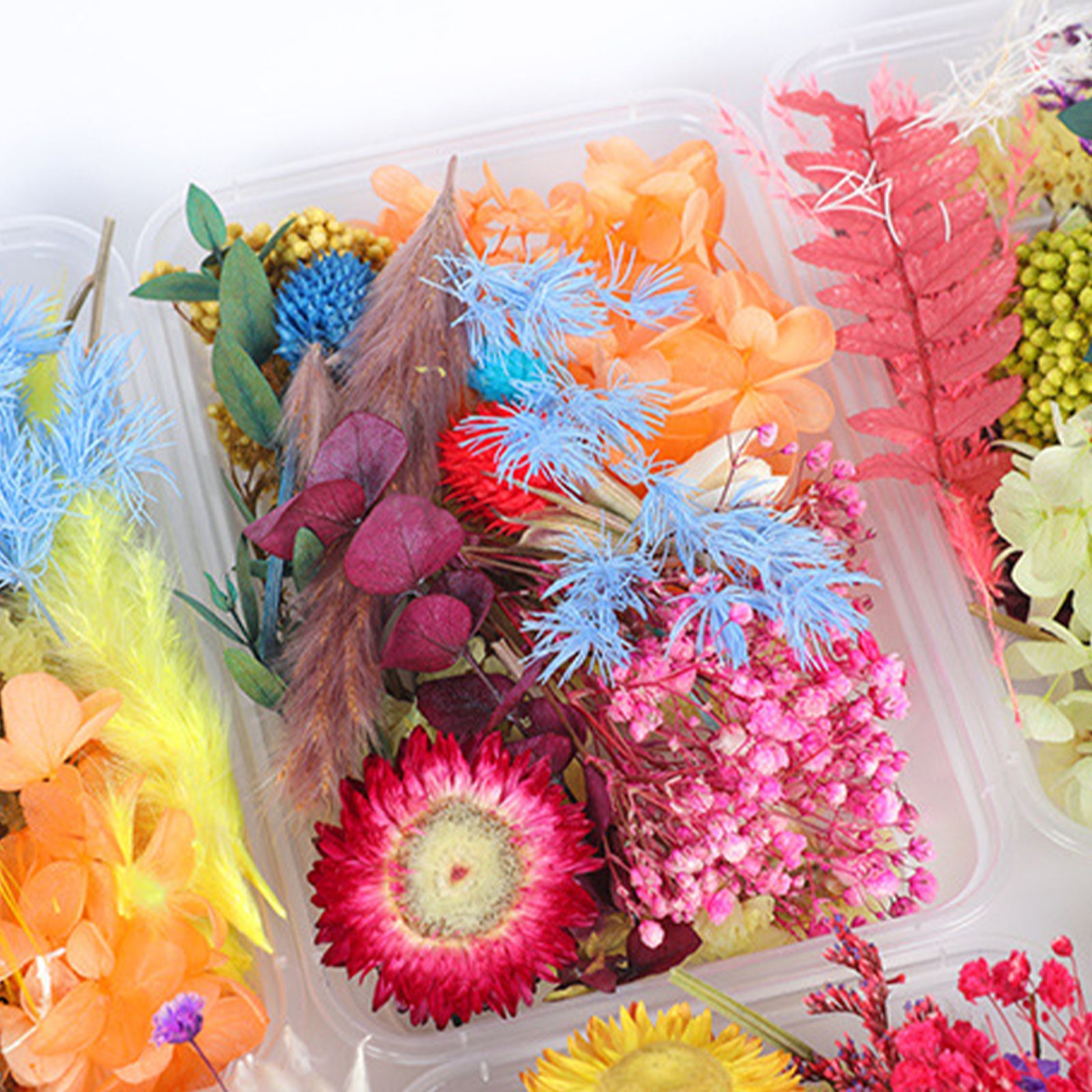 Dried Flower DIY Accessories Set view 2