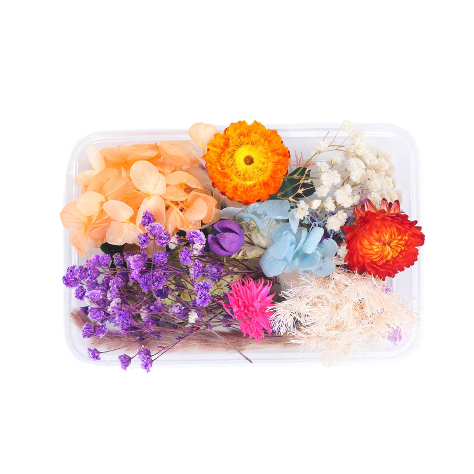 Dried Flower DIY Accessories Set view 5