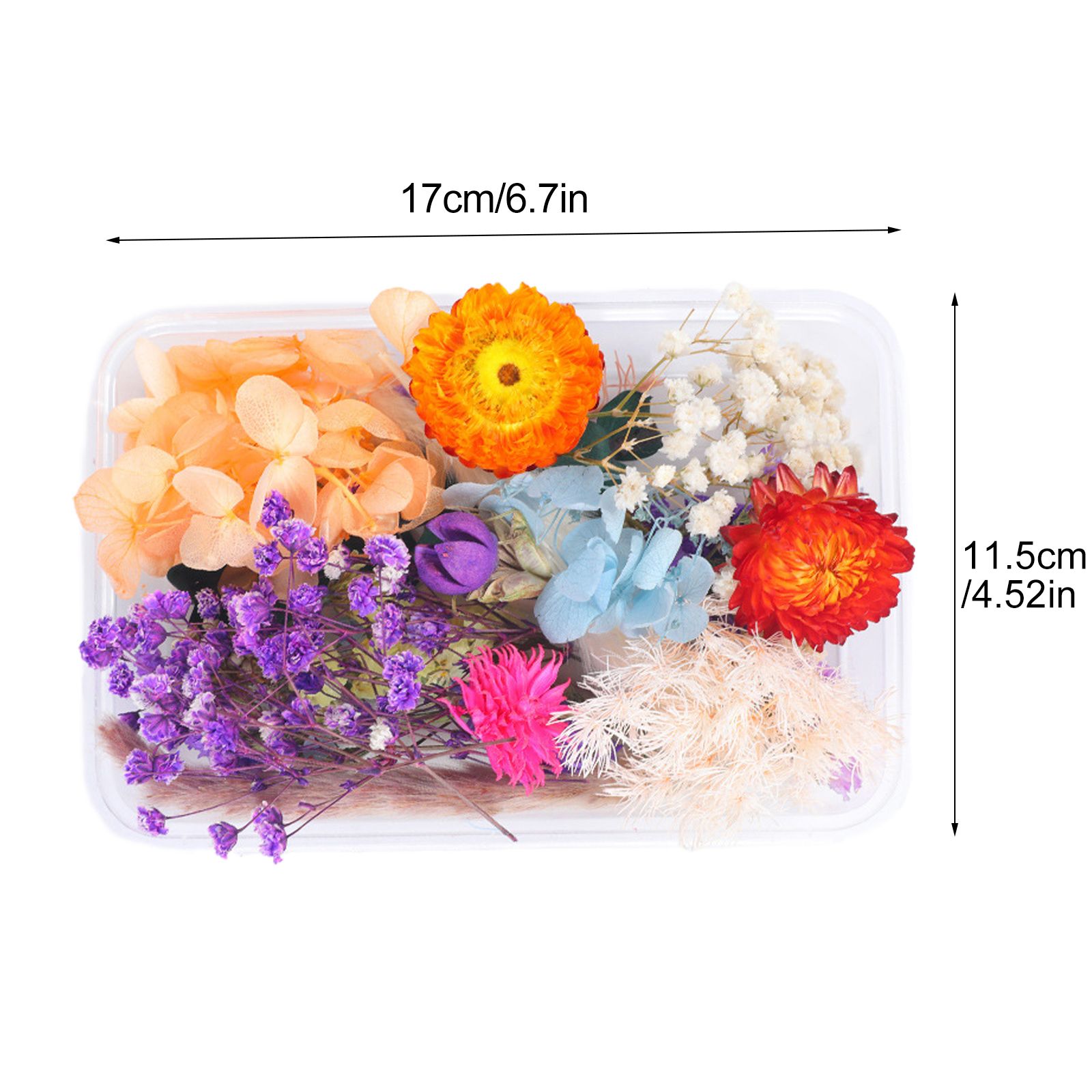 Dried Flower DIY Accessories Set view 7