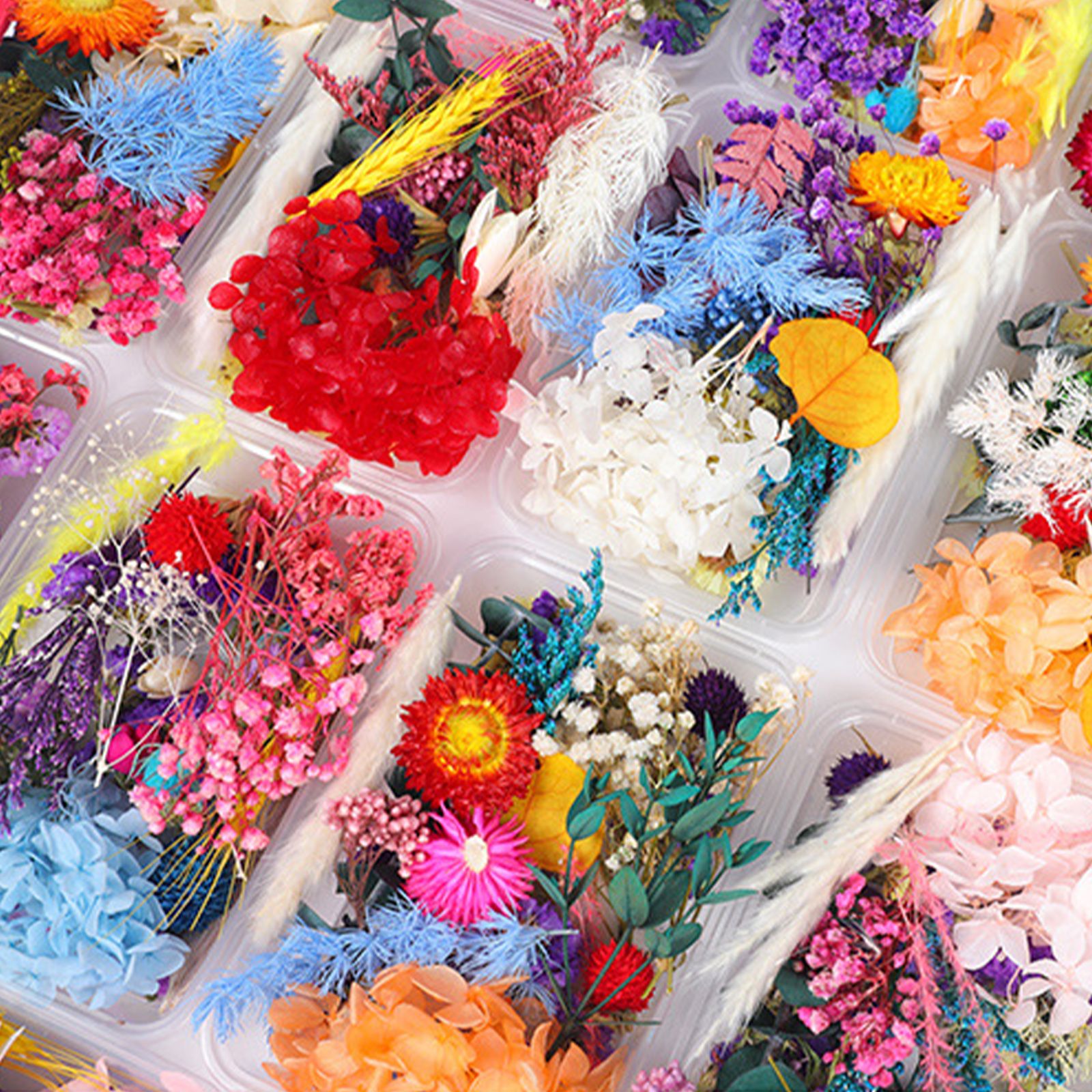 Dried Flower DIY Accessories Set view 8