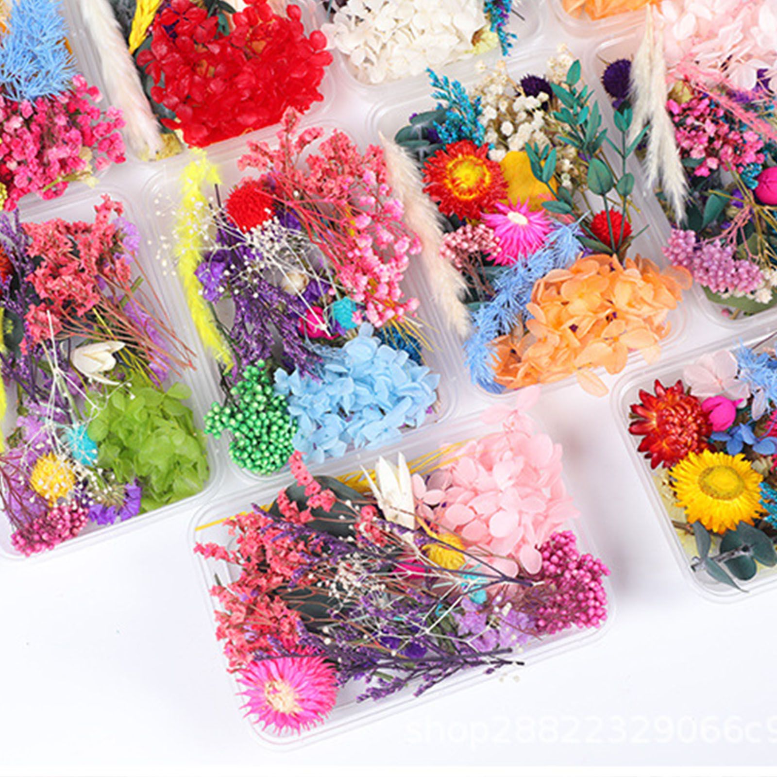 Dried Flower DIY Accessories Set view 10