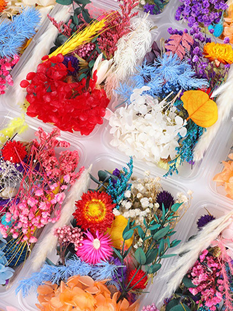 Dried Flower DIY Accessories Set view 12