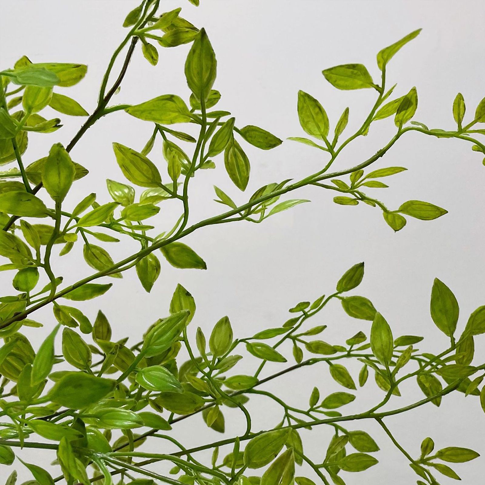 Artificial Green Plant Nandina Simulation Plant Branch Home Decoration view 4