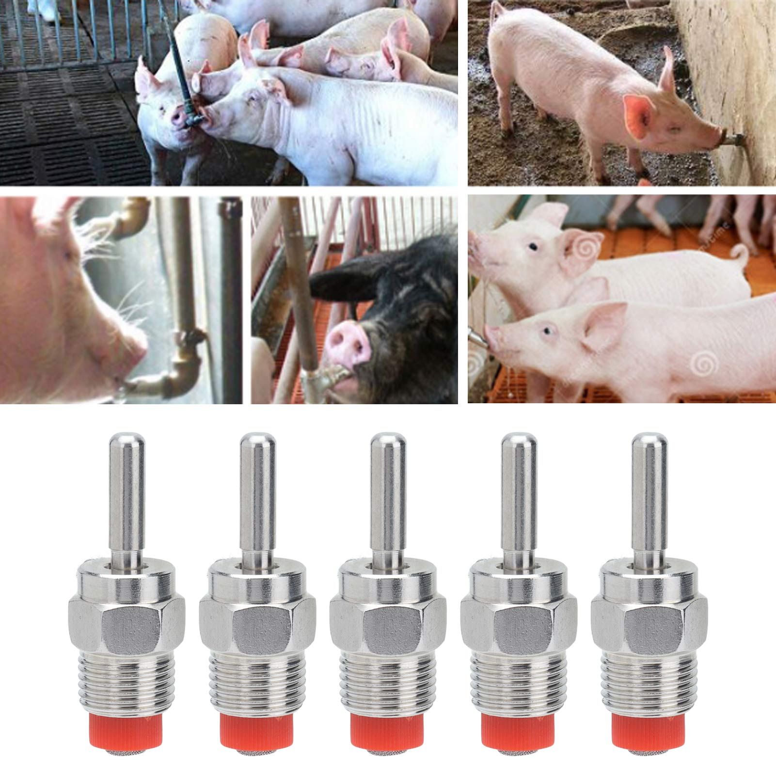 5Pcs Automatic Pig Waterer Safety Health Water Saving Clean Water Simple view 11