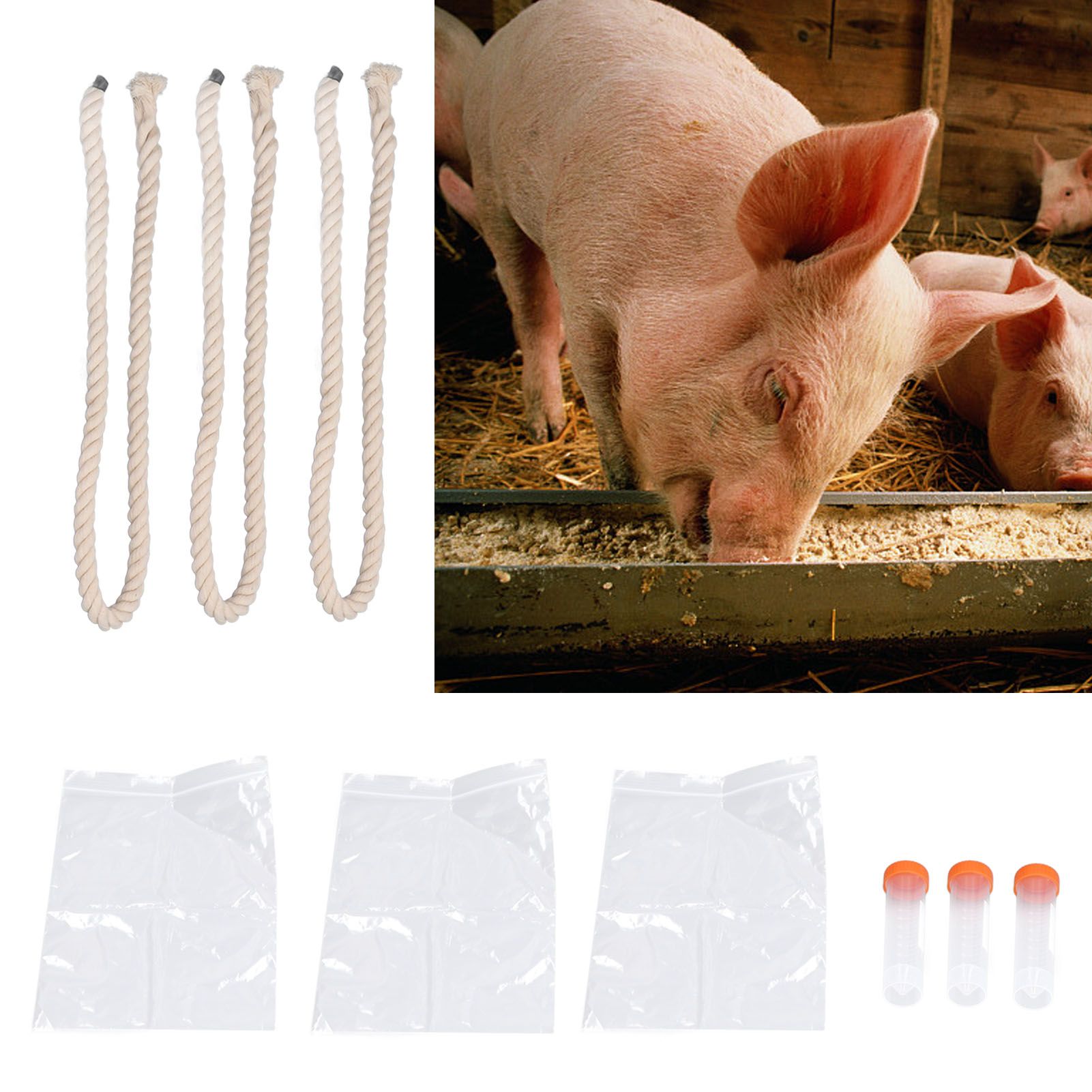 3Sets Saliva Sampling Rope Strong Practicability Complete Tools Soft Cotton view 11