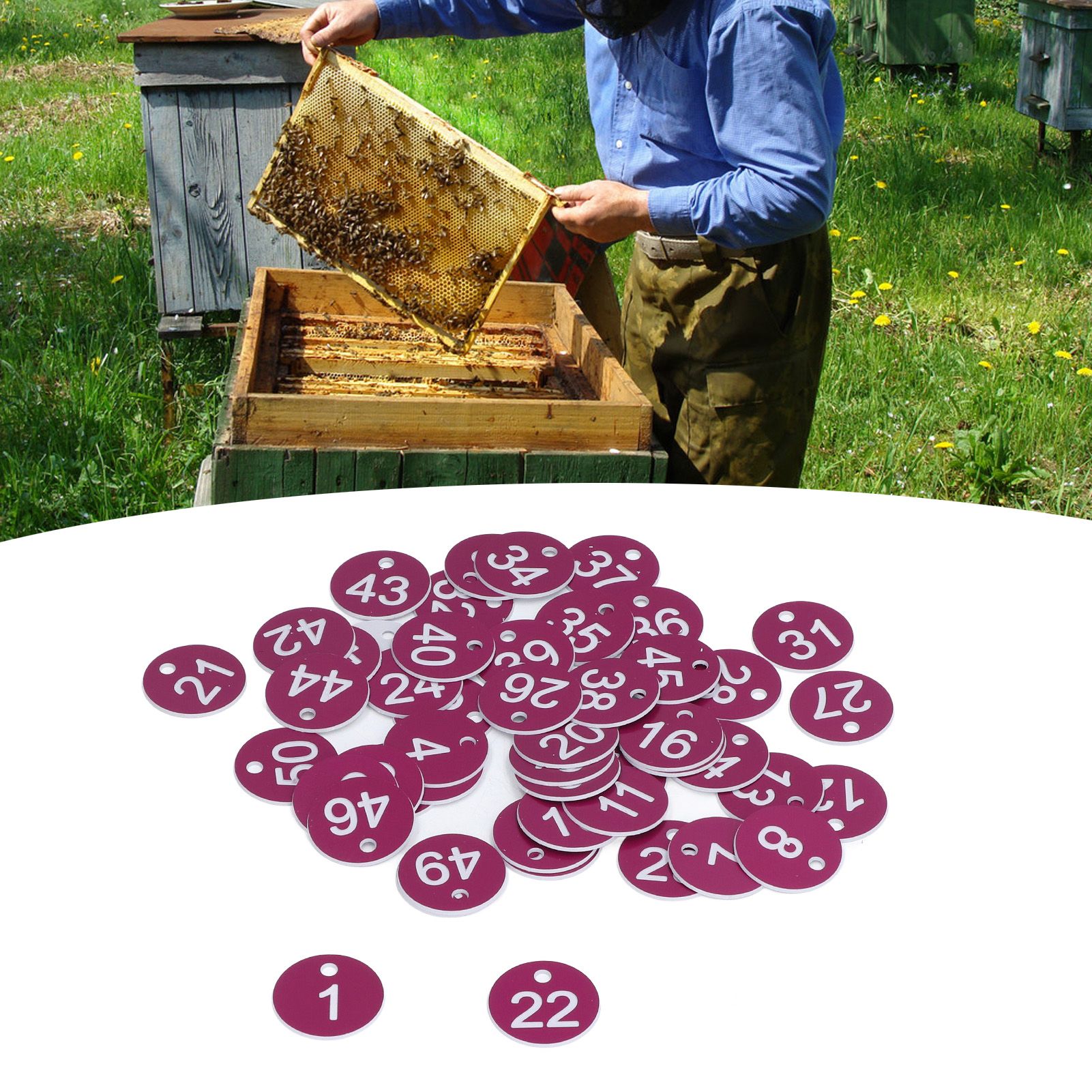 50Pcs Numbered Label Round Simple Beautiful Beehive Tag Breeding Supplies for view 11