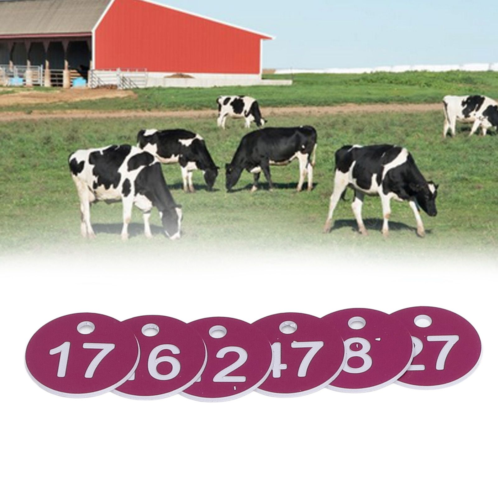 50Pcs Numbered Label Round Simple Beautiful Beehive Tag Breeding Supplies for view 12