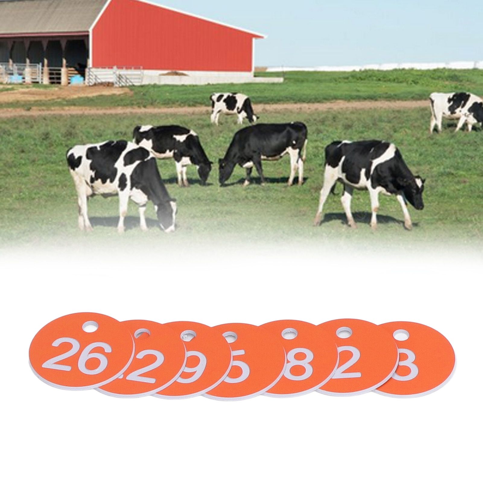 50Pcs Numbered Label Round Simple Beautiful Beehive Tag Breeding Supplies for view 11