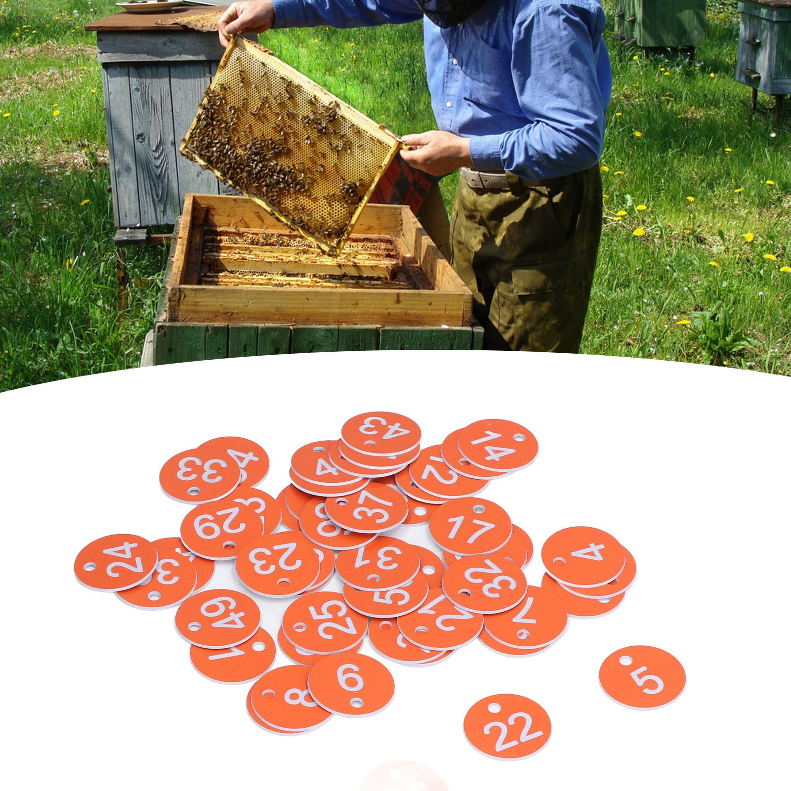 50Pcs Numbered Label Round Simple Beautiful Beehive Tag Breeding Supplies for view 12
