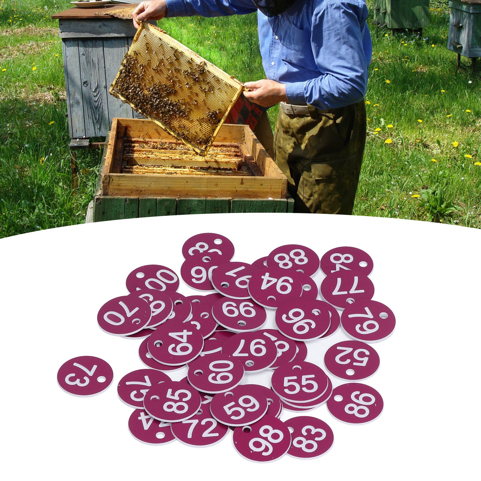 50Pcs Numbered Label Round Simple Beautiful Beehive Tag Breeding Supplies for view 11