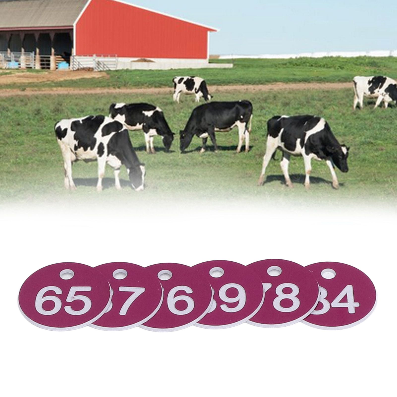 50Pcs Numbered Label Round Simple Beautiful Beehive Tag Breeding Supplies for view 12