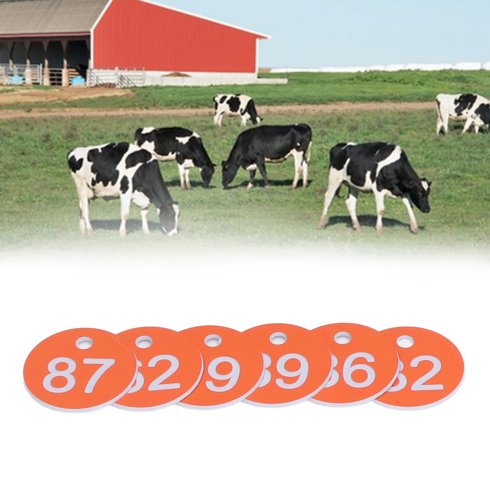 50Pcs Numbered Label Round Simple Beautiful Beehive Tag Breeding Supplies for view 11