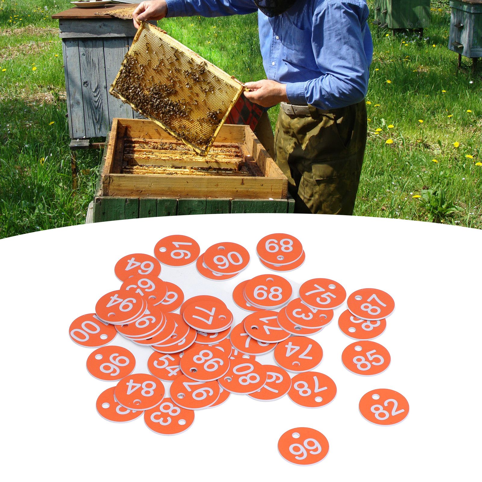 50Pcs Numbered Label Round Simple Beautiful Beehive Tag Breeding Supplies for view 12