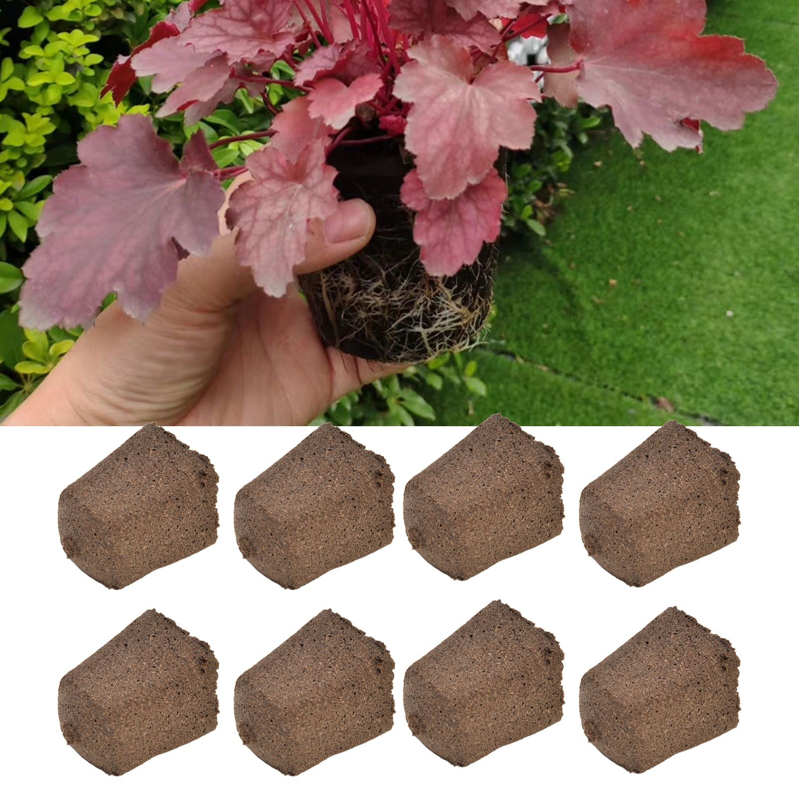50pcs Growth Plugs Environet Seed Starter Plugs for Seed Starting Hydroponic view 11