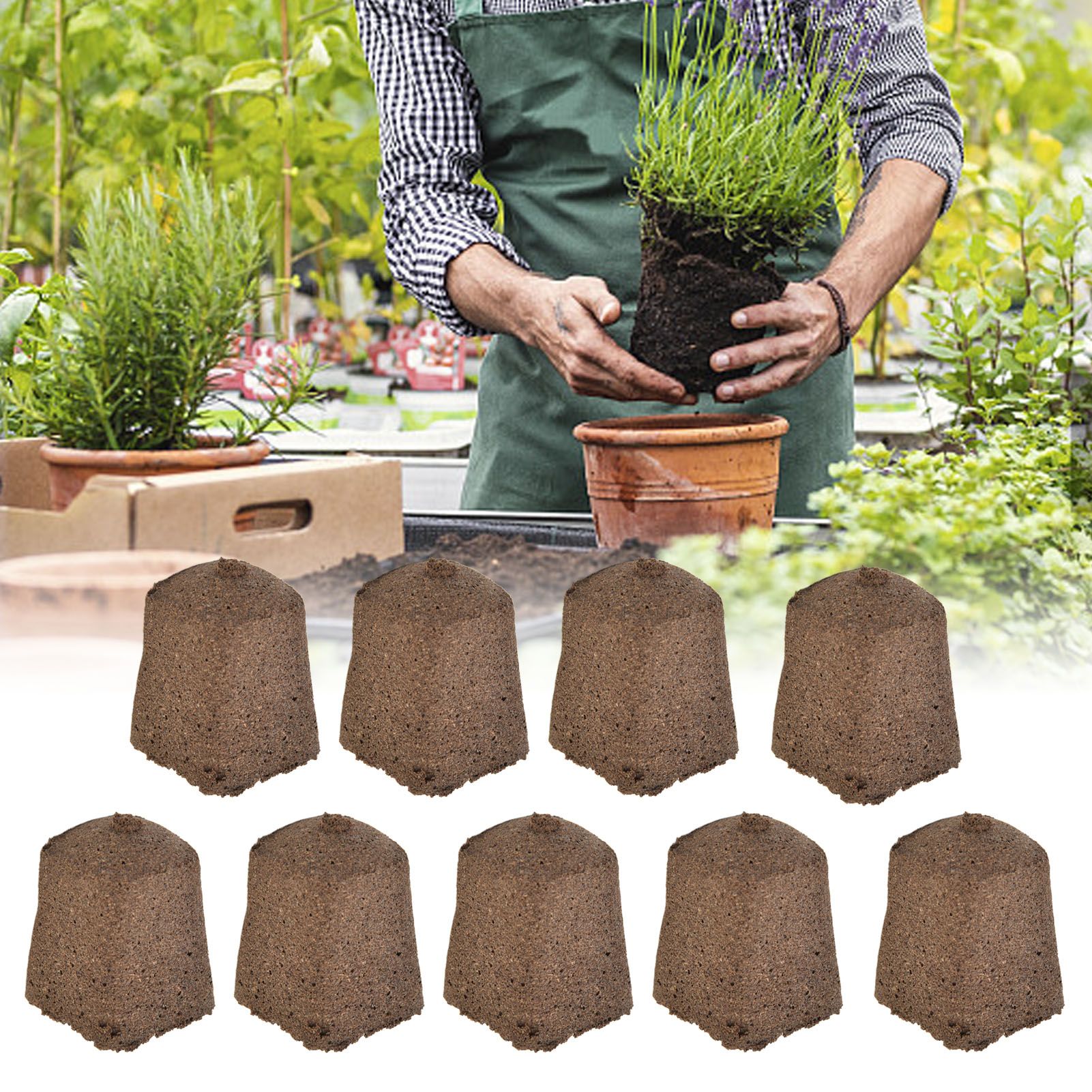 50pcs Growth Plugs Environet Seed Starter Plugs for Seed Starting Hydroponic view 12