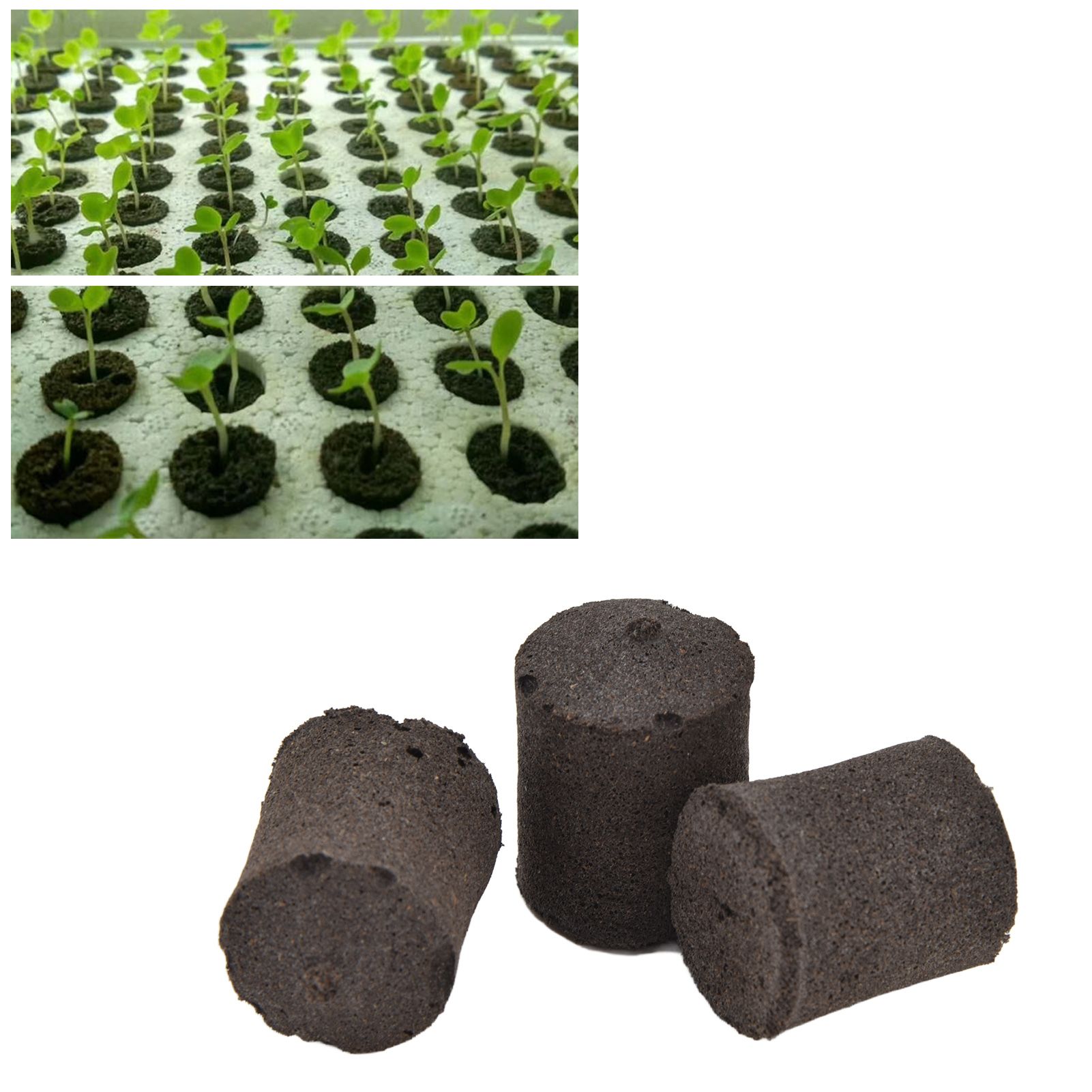 50pcs Growth Plugs Seed Starter Plugs Seed Starting Blocks for Hydroponic and view 11