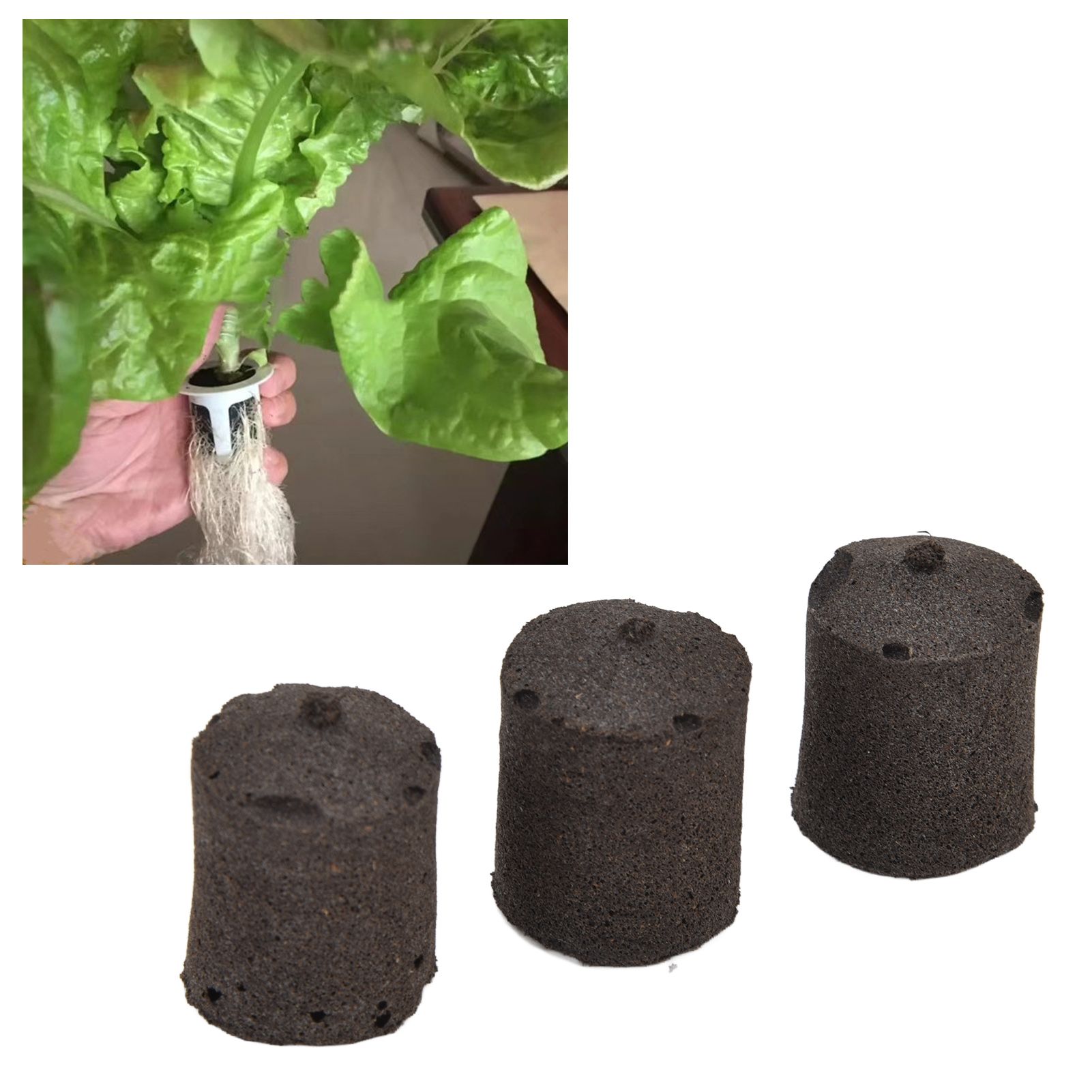 50pcs Growth Plugs Seed Starter Plugs Seed Starting Blocks for Hydroponic and view 12