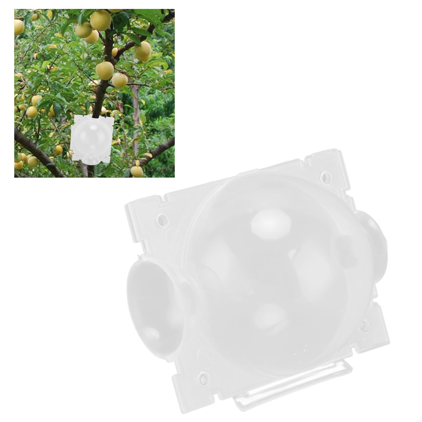 10PCS Plant Root Growing Box Sturdy Structure Security Lock Lightweight view 12