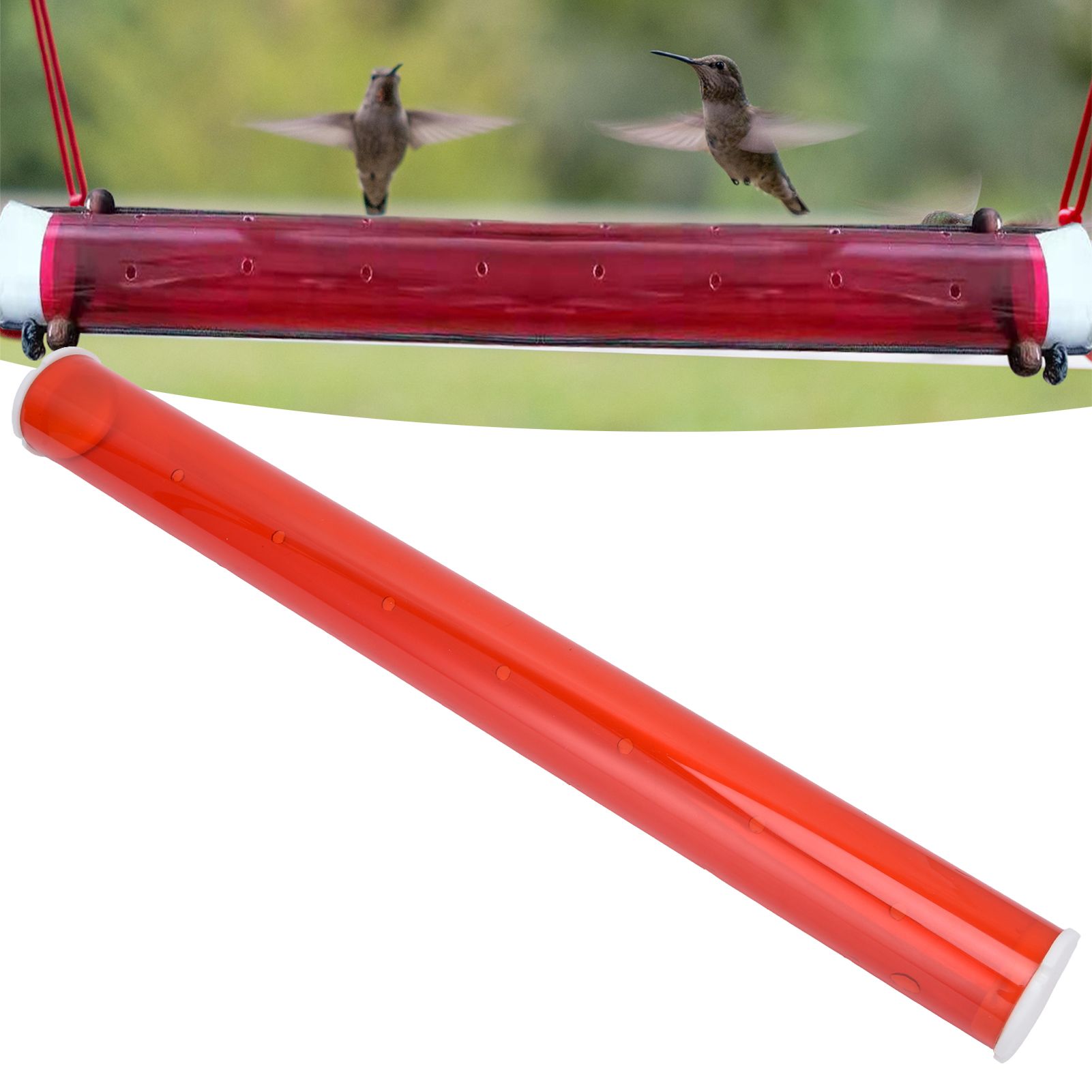 Long Pipe Bird Feeder Red Transparent Outdoor Bird Feeder Tube Wild Bird view 12