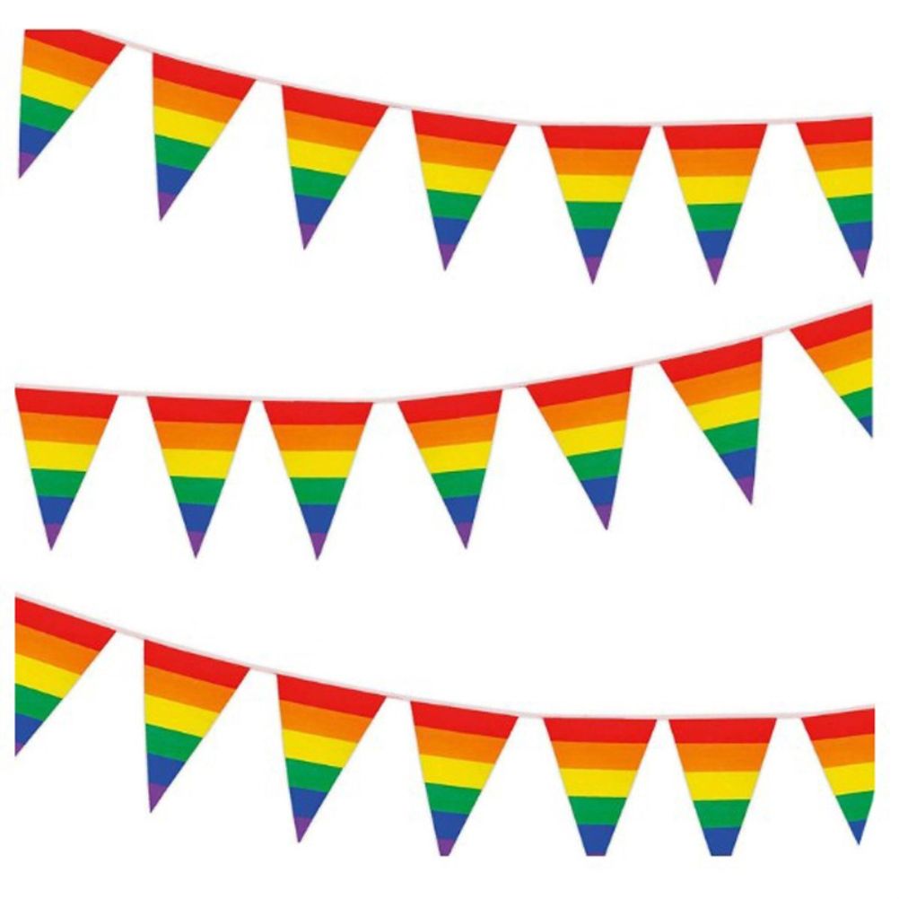 Rainbow Pride Pennant Flags Banner Gay Pride Pennant Banner for Bar Outdoor