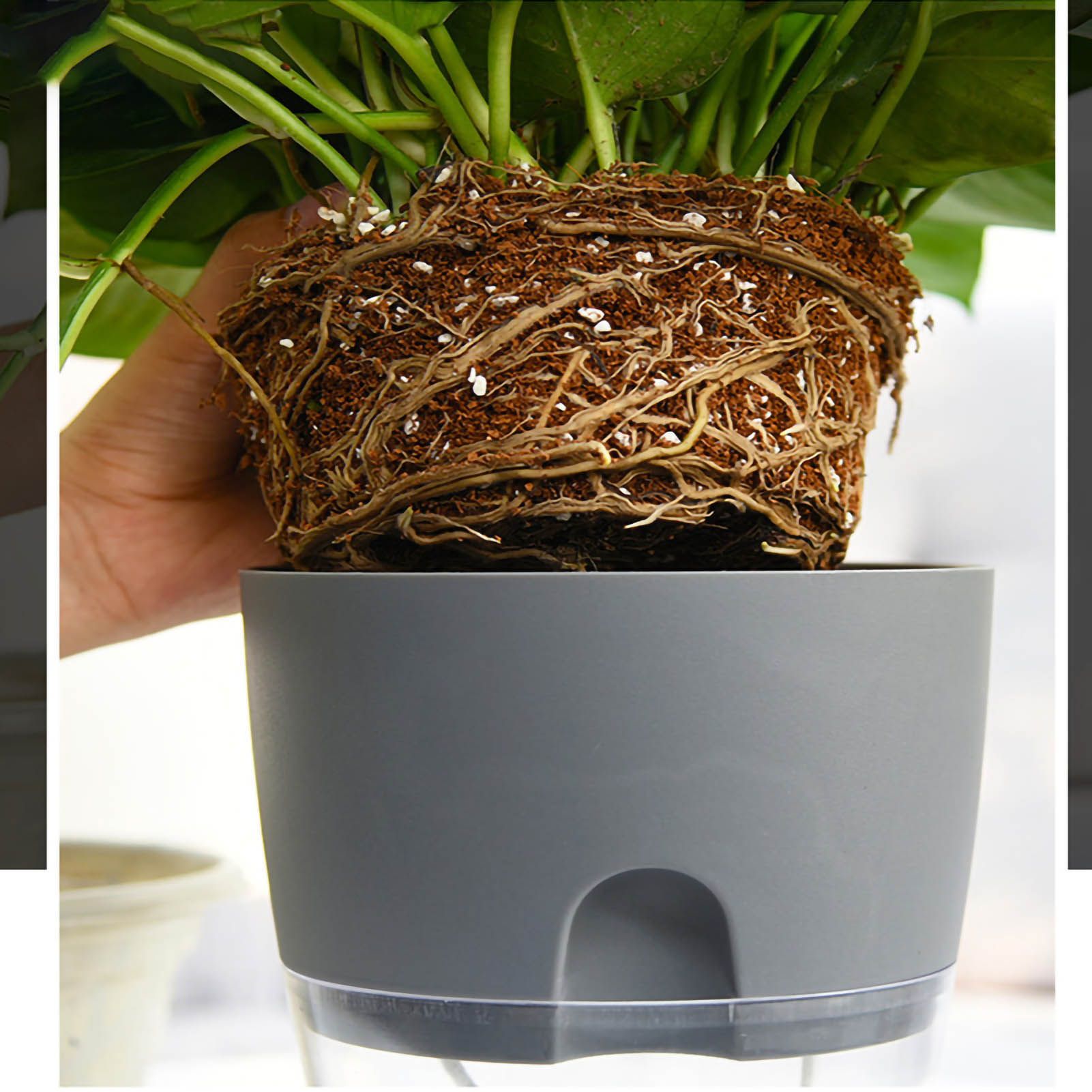 Self Watering Planter Cotton Rope Plastic Decorative Planting Pot for Indoor view 4