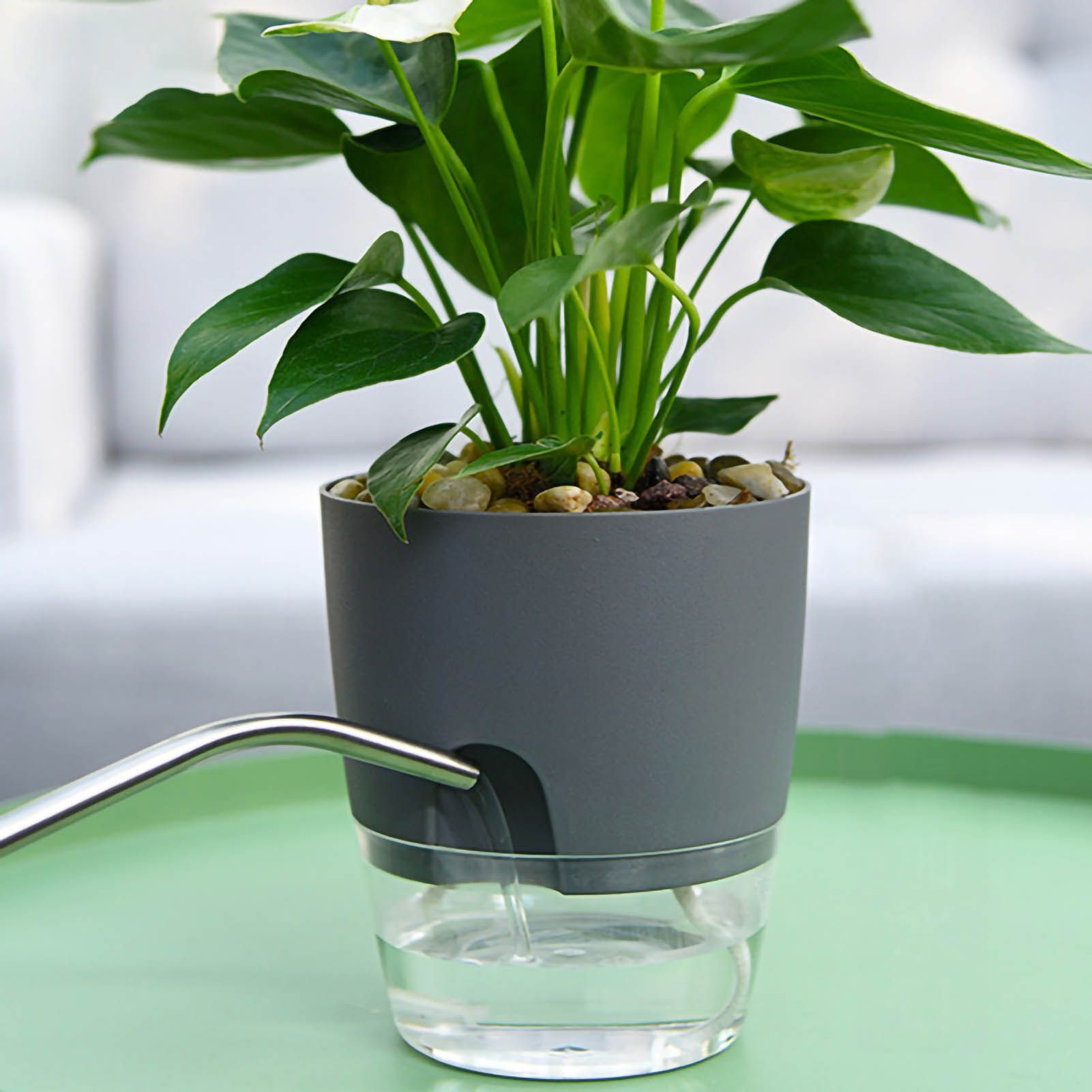 Self Watering Planter Cotton Rope Plastic Decorative Planting Pot for Indoor view 5