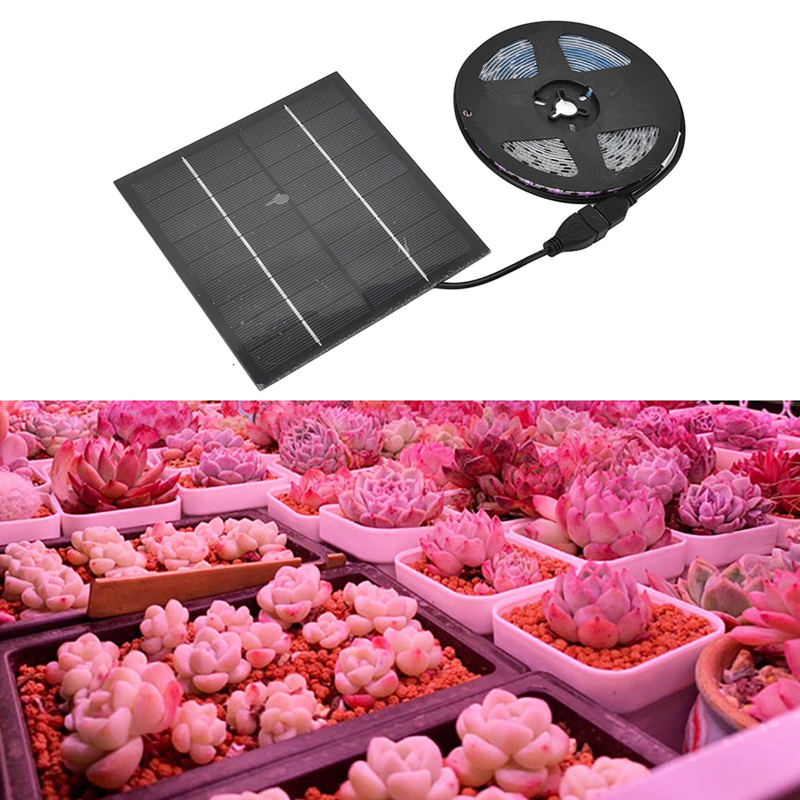 Solar Plant Grow Light Strip Eco Friendly 5W LED High Luminous Flux Promote view 12