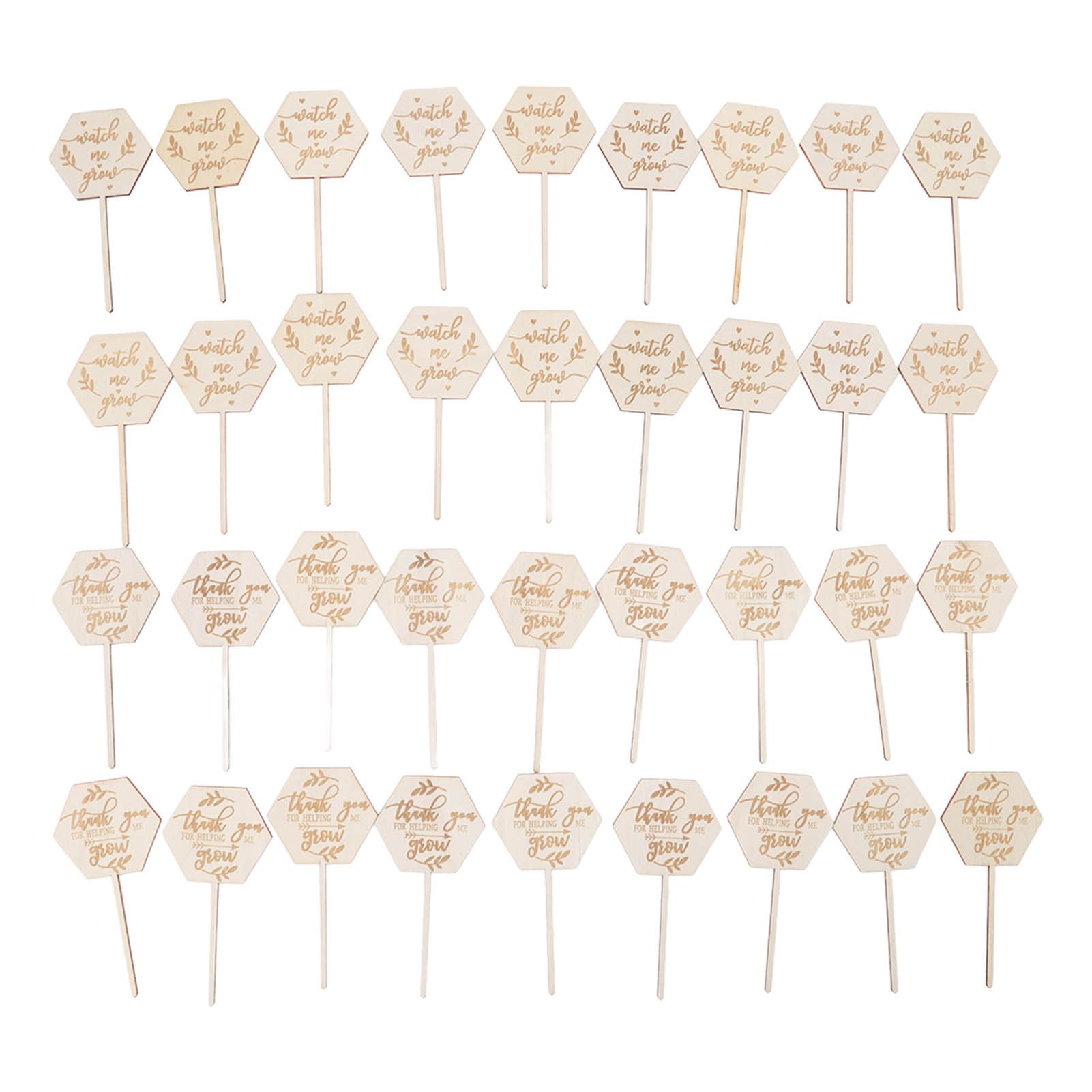 36pcs Watch Me Grow Succulent Tags Safe Eco Friendly Wooden Hexagonal — image 1
