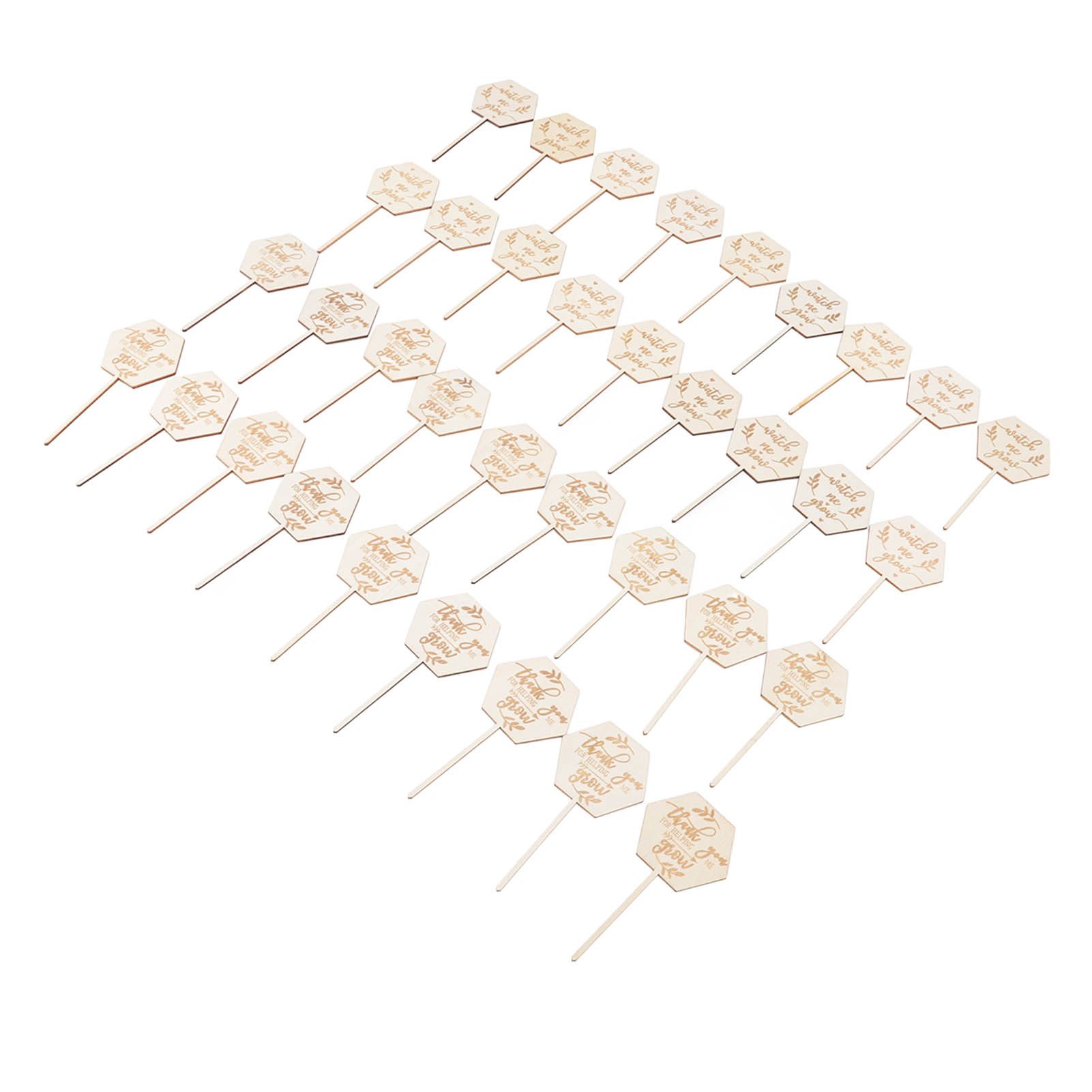 36pcs Watch Me Grow Succulent Tags Safe Eco Friendly Wooden Hexagonal view 2