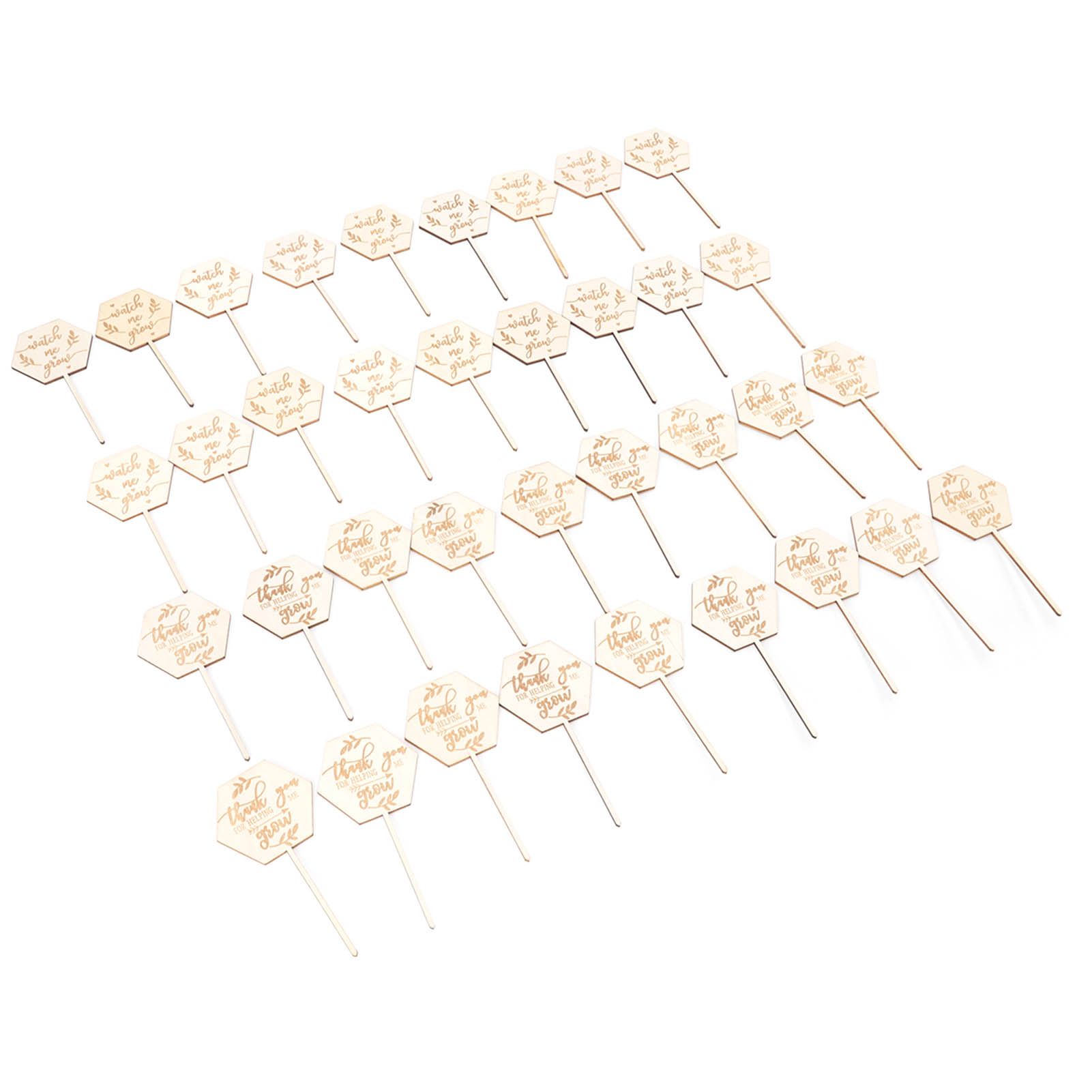 36pcs Watch Me Grow Succulent Tags Safe Eco Friendly Wooden Hexagonal view 3