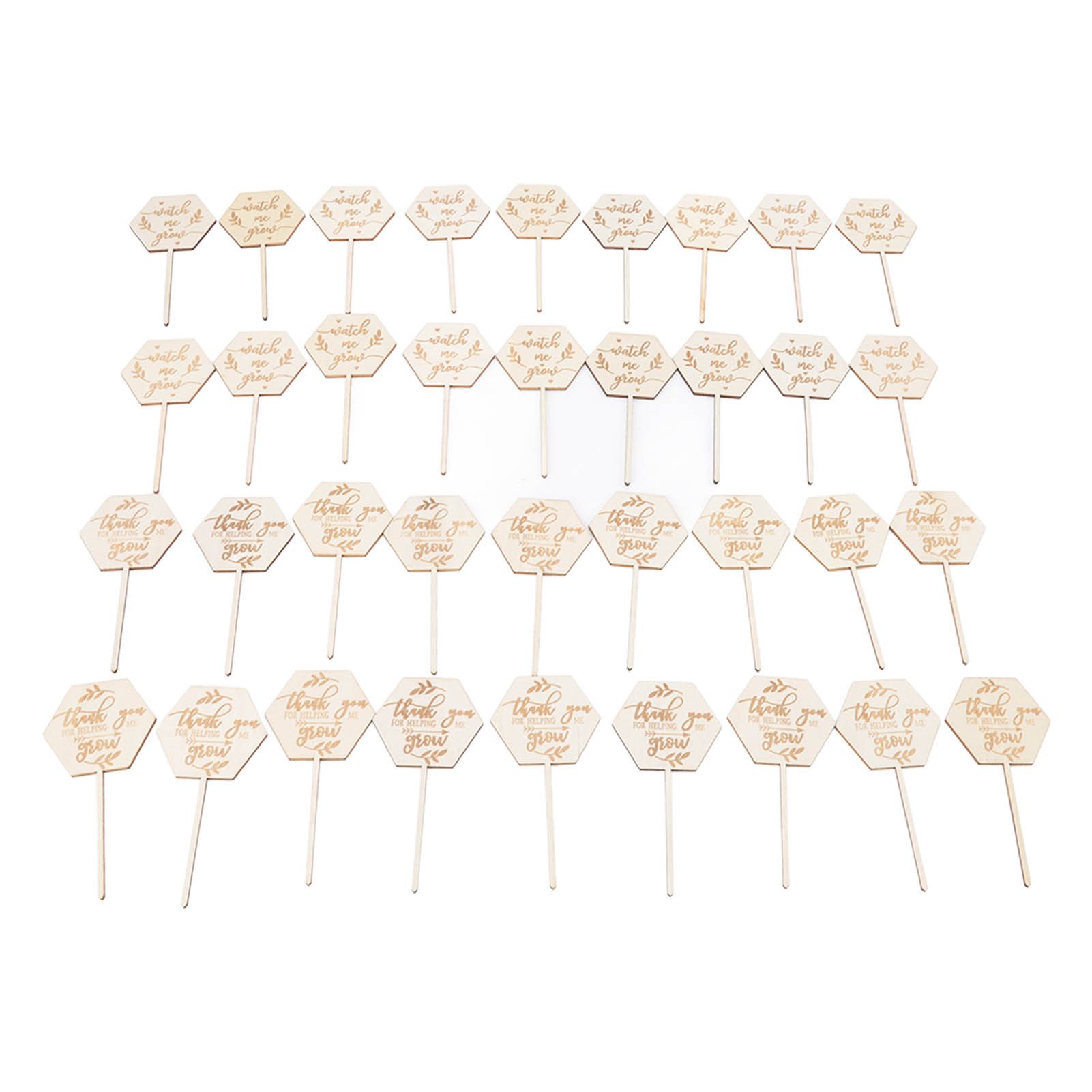 36pcs Watch Me Grow Succulent Tags Safe Eco Friendly Wooden Hexagonal view 4