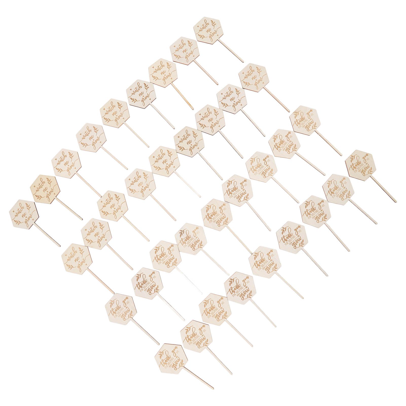 36pcs Watch Me Grow Succulent Tags Safe Eco Friendly Wooden Hexagonal view 6