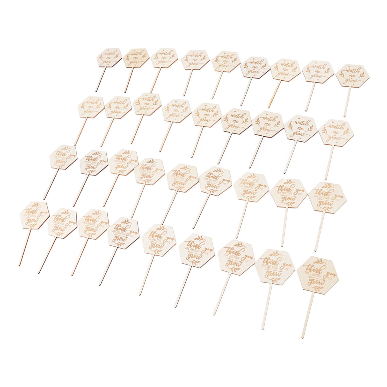 36pcs Watch Me Grow Succulent Tags Safe Eco Friendly Wooden Hexagonal view 7