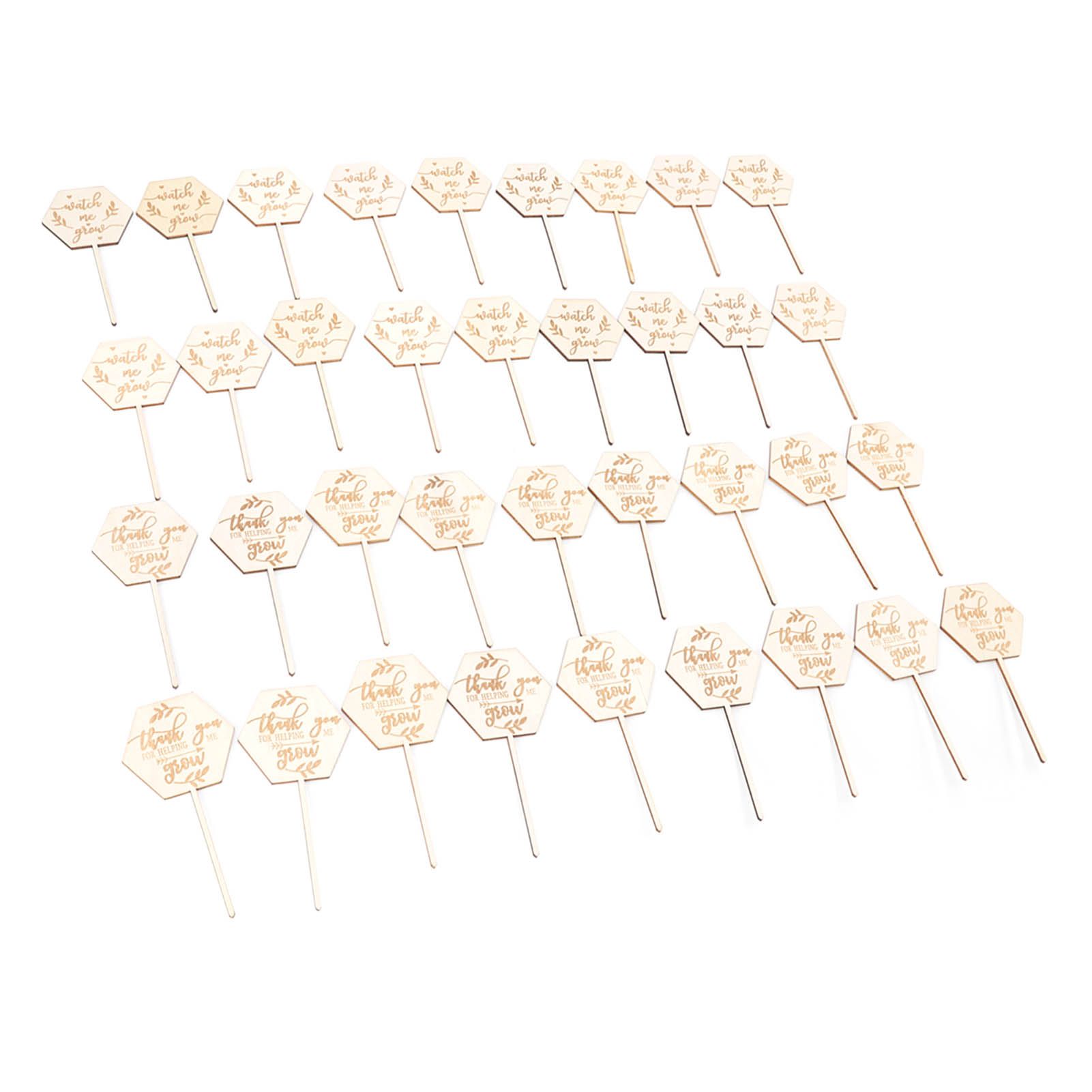 36pcs Watch Me Grow Succulent Tags Safe Eco Friendly Wooden Hexagonal view 8