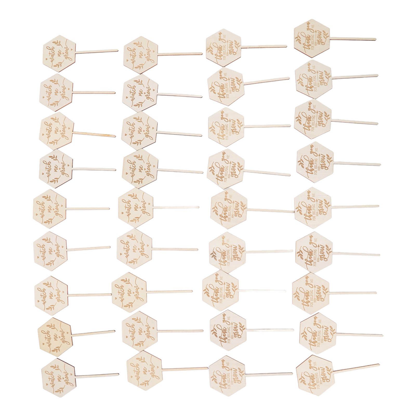 36pcs Watch Me Grow Succulent Tags Safe Eco Friendly Wooden Hexagonal view 9