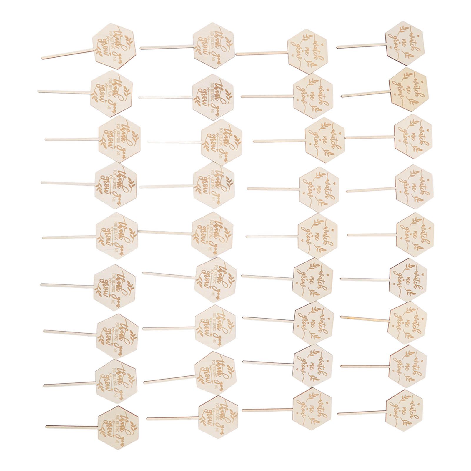 36pcs Watch Me Grow Succulent Tags Safe Eco Friendly Wooden Hexagonal view 10