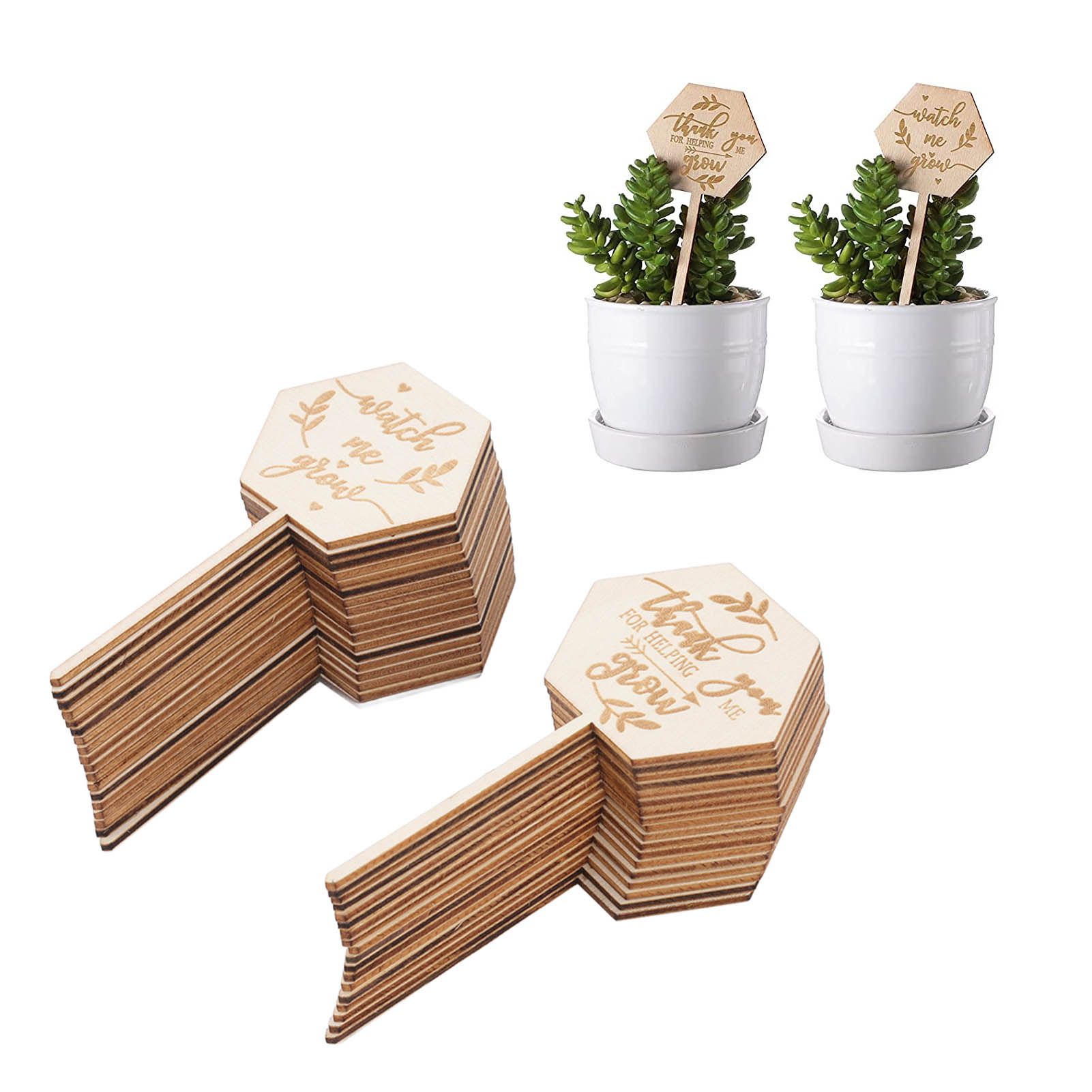 36pcs Watch Me Grow Succulent Tags Safe Eco Friendly Wooden Hexagonal view 11