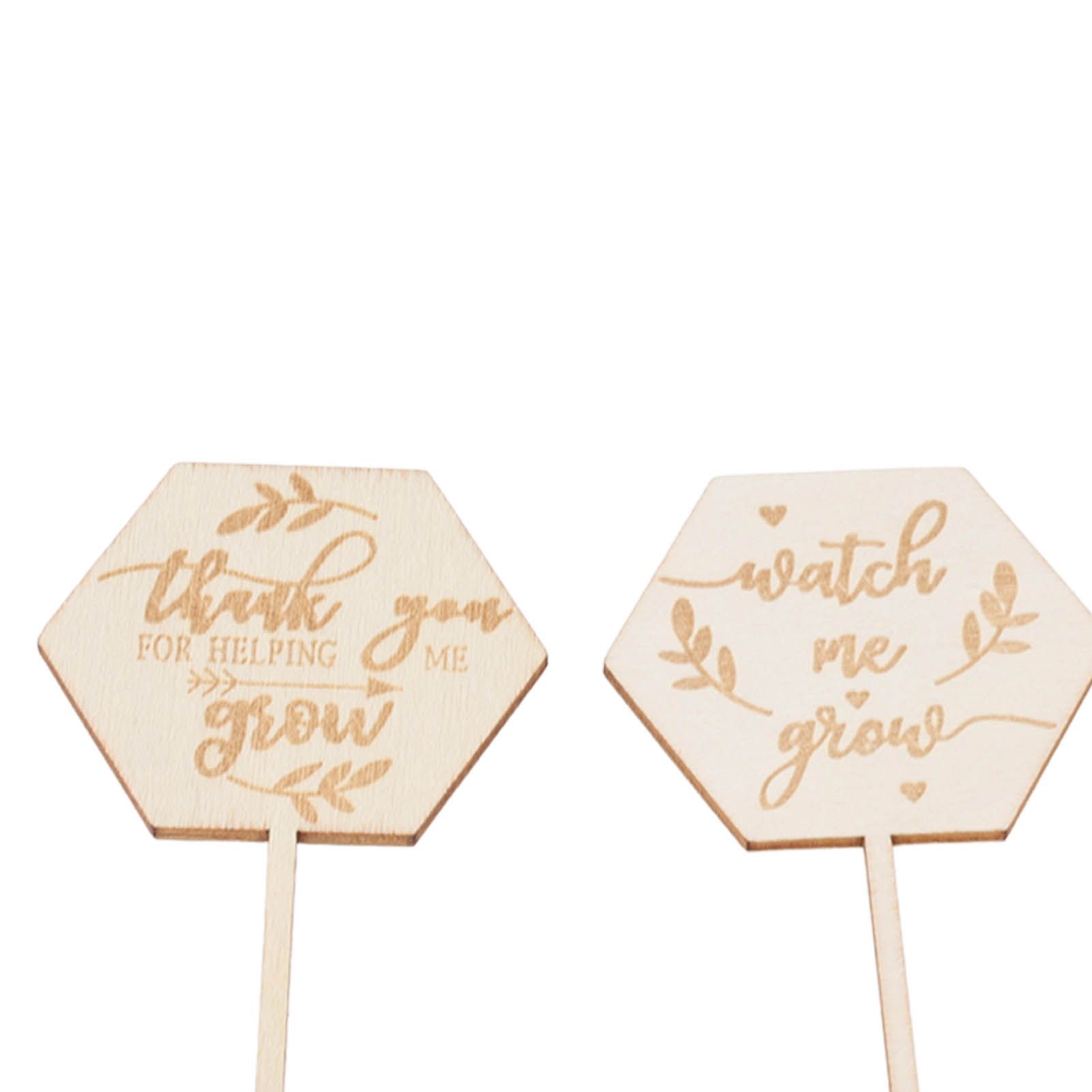 36pcs Watch Me Grow Succulent Tags Safe Eco Friendly Wooden Hexagonal view 14