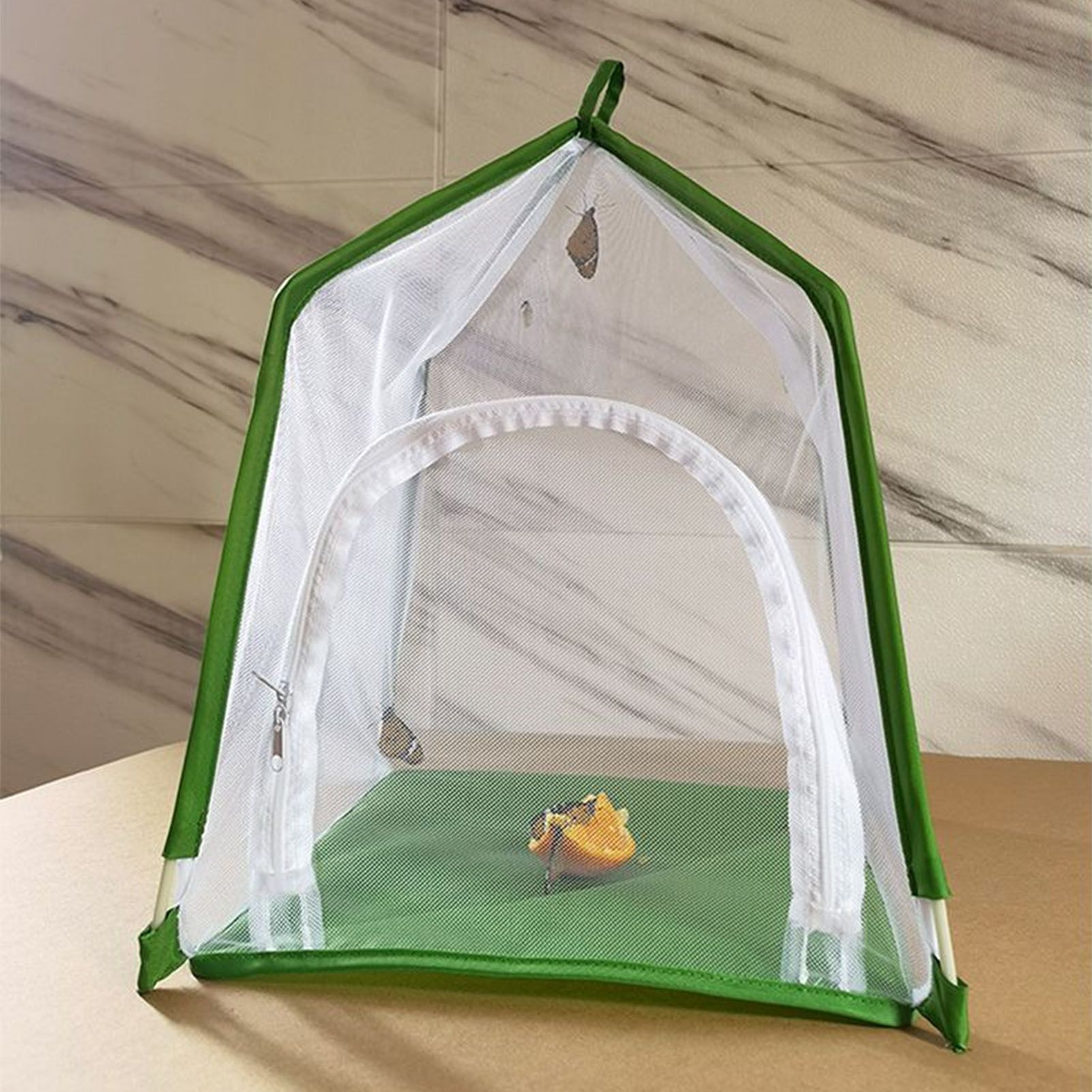 House Shaped Insect Cage Exquisite Ornamental Gardening Cage for Science view 11