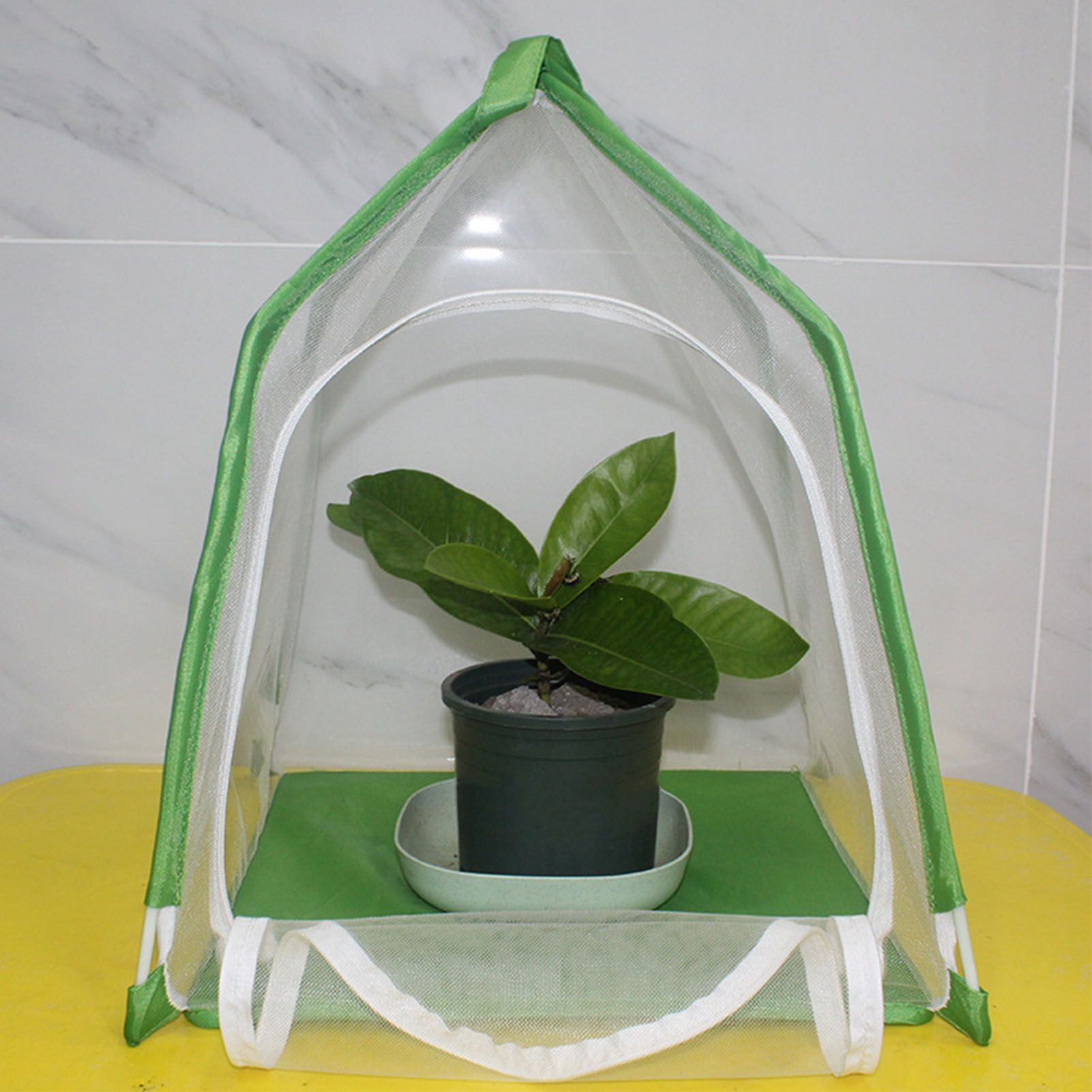 House Shaped Insect Cage Exquisite Ornamental Gardening Cage for Science view 12