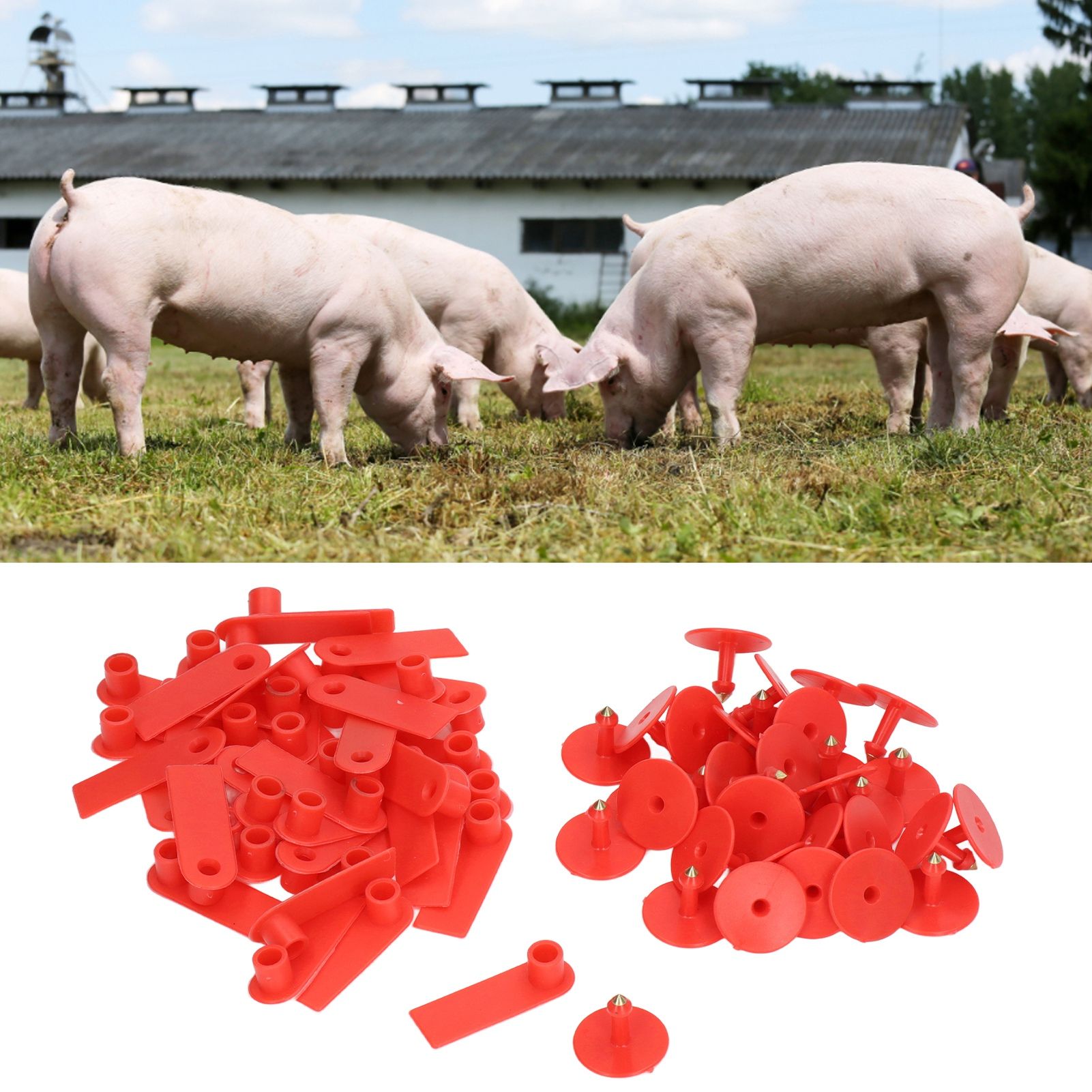 Blank Livestock Ear Tag Handwritable Prevent Shedding Animal Ear Label for Pig view 10