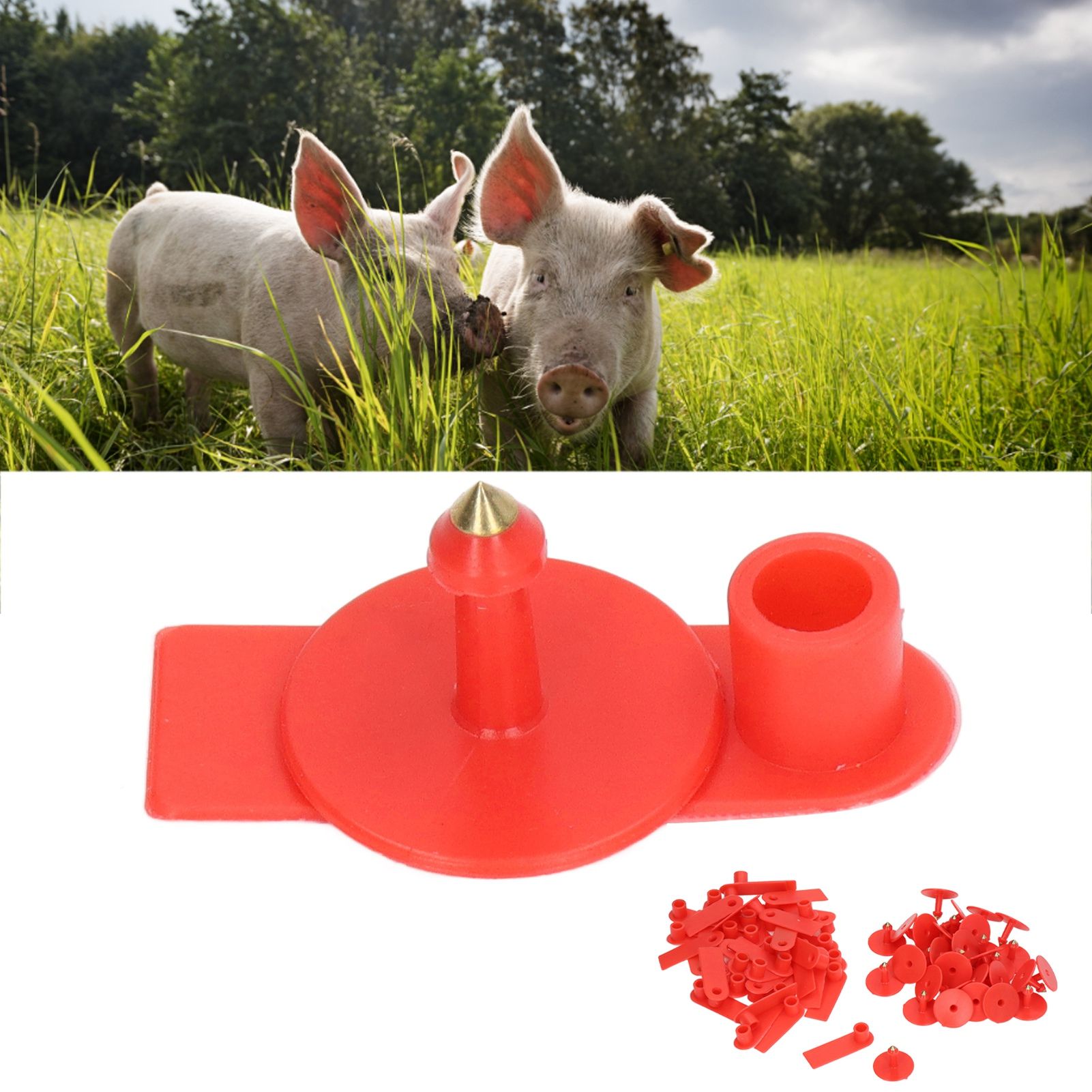 Blank Livestock Ear Tag Handwritable Prevent Shedding Animal Ear Label for Pig view 11